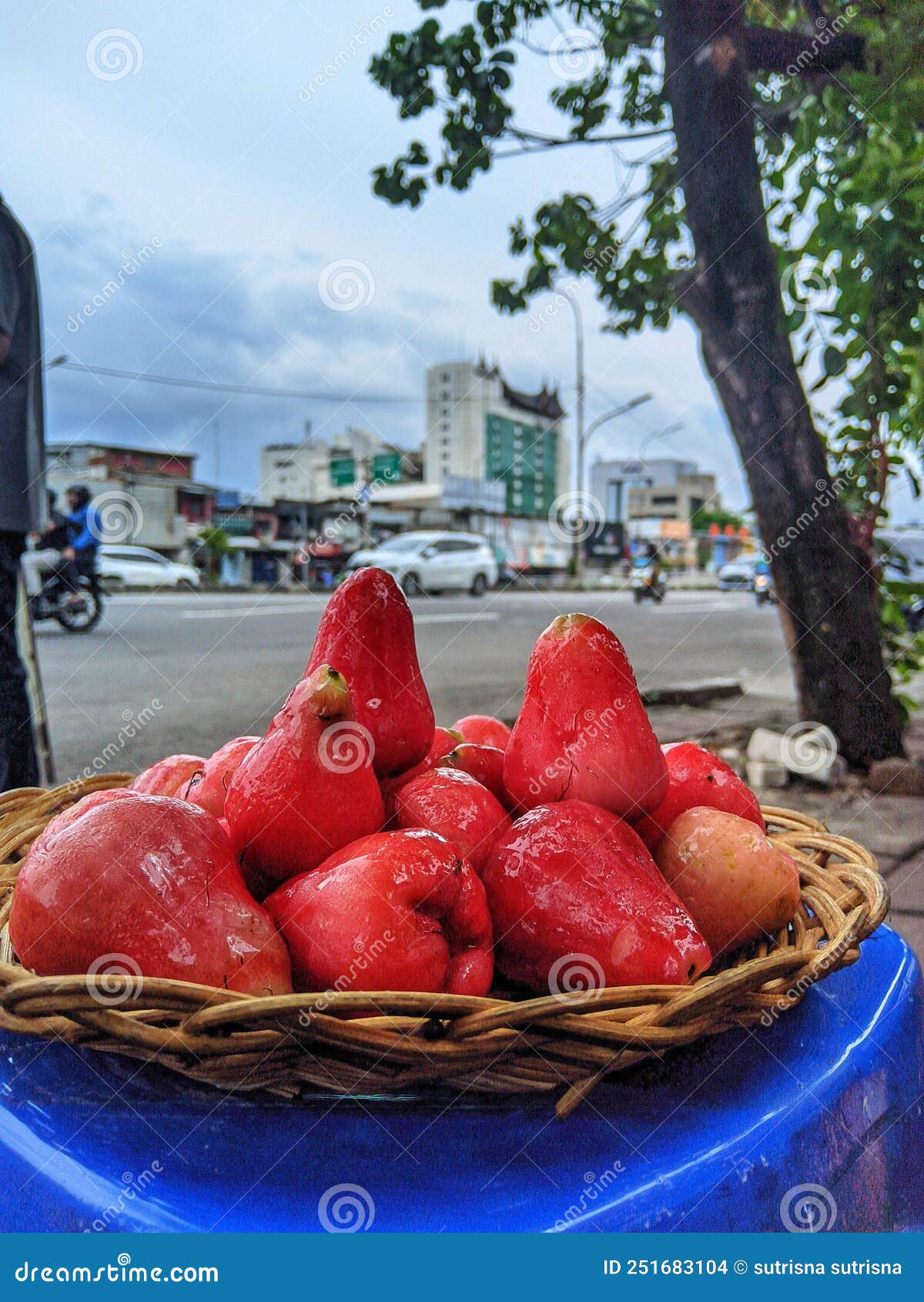 Fruit Water apple stock photo. Image of cold, apple 251683104