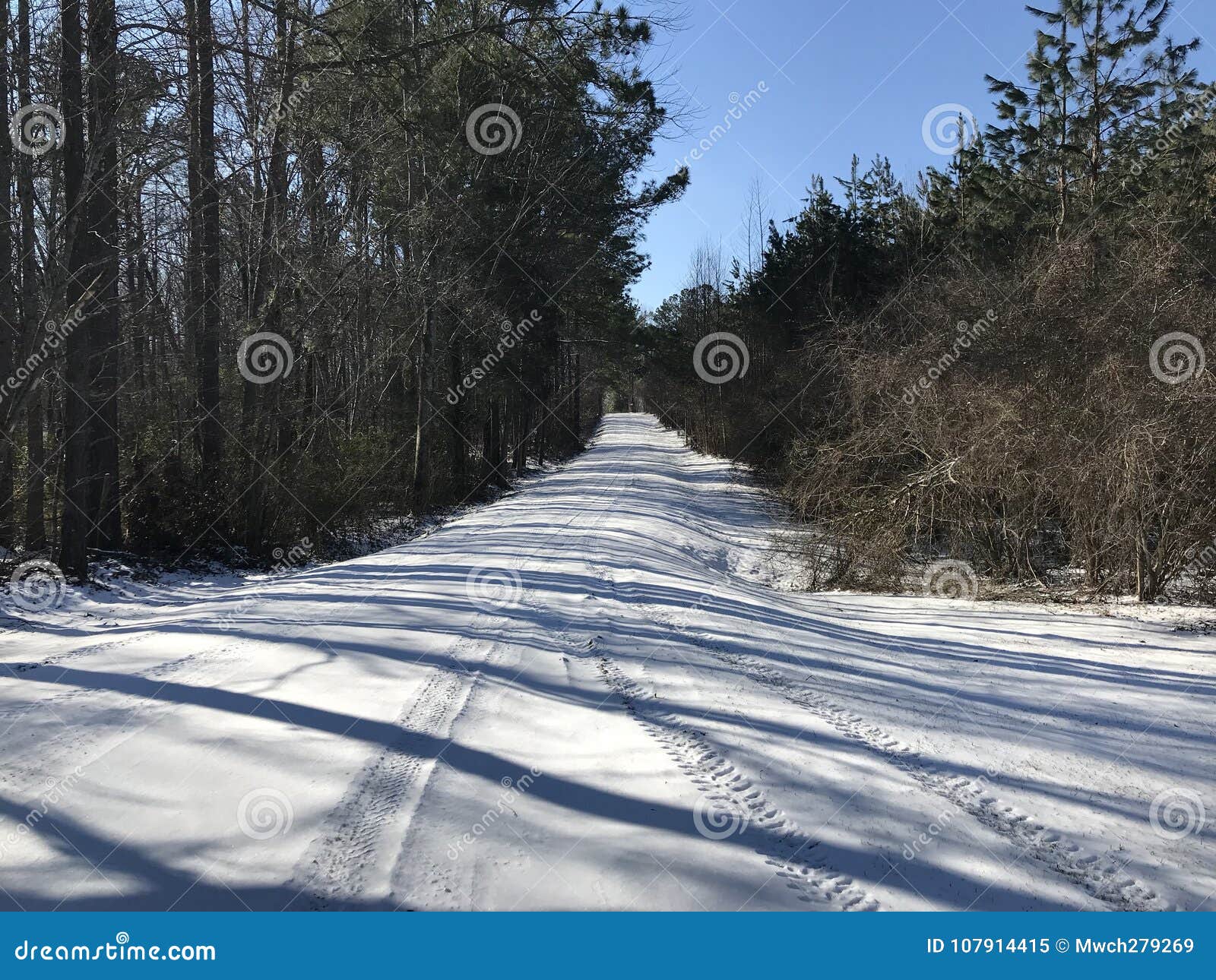 Fruithurst, Al stockbild. Bild von abgedeckt, schnee 107914415