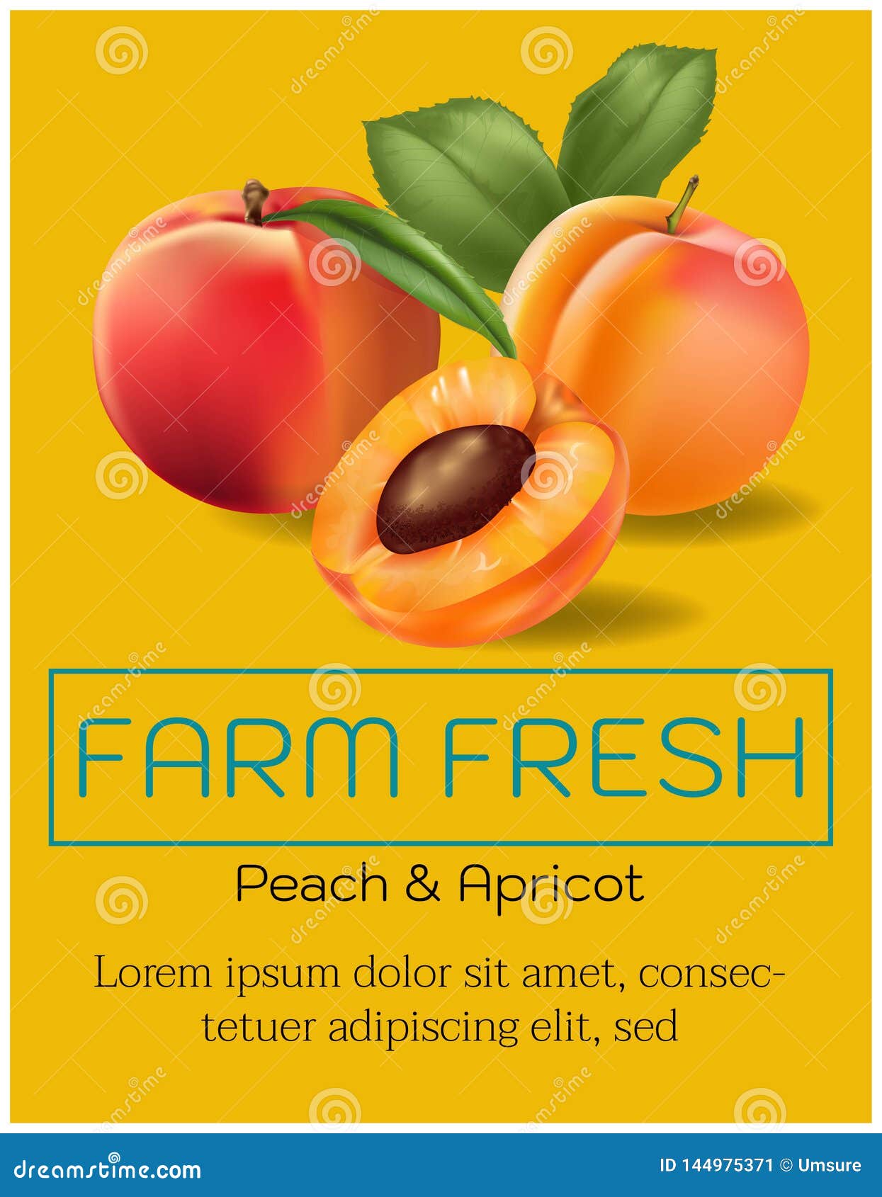 Fruits on Advertising Poster Vector Stock Vector Illustration of