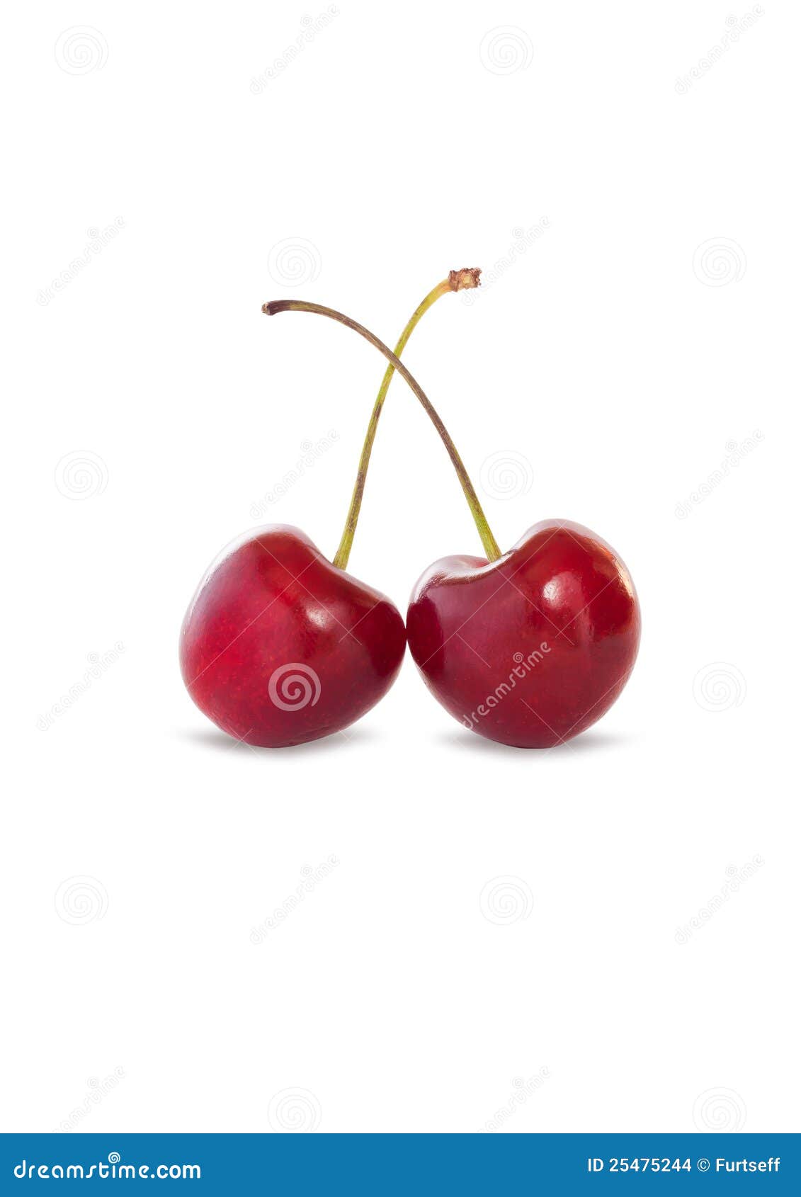 Fruits of cherry stock photo. Image of juicy, ingredient - 25475244