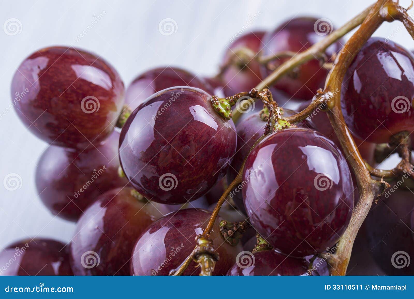 Close up photo of edible fruits - a red grapes on a solid bright blue wooden table
