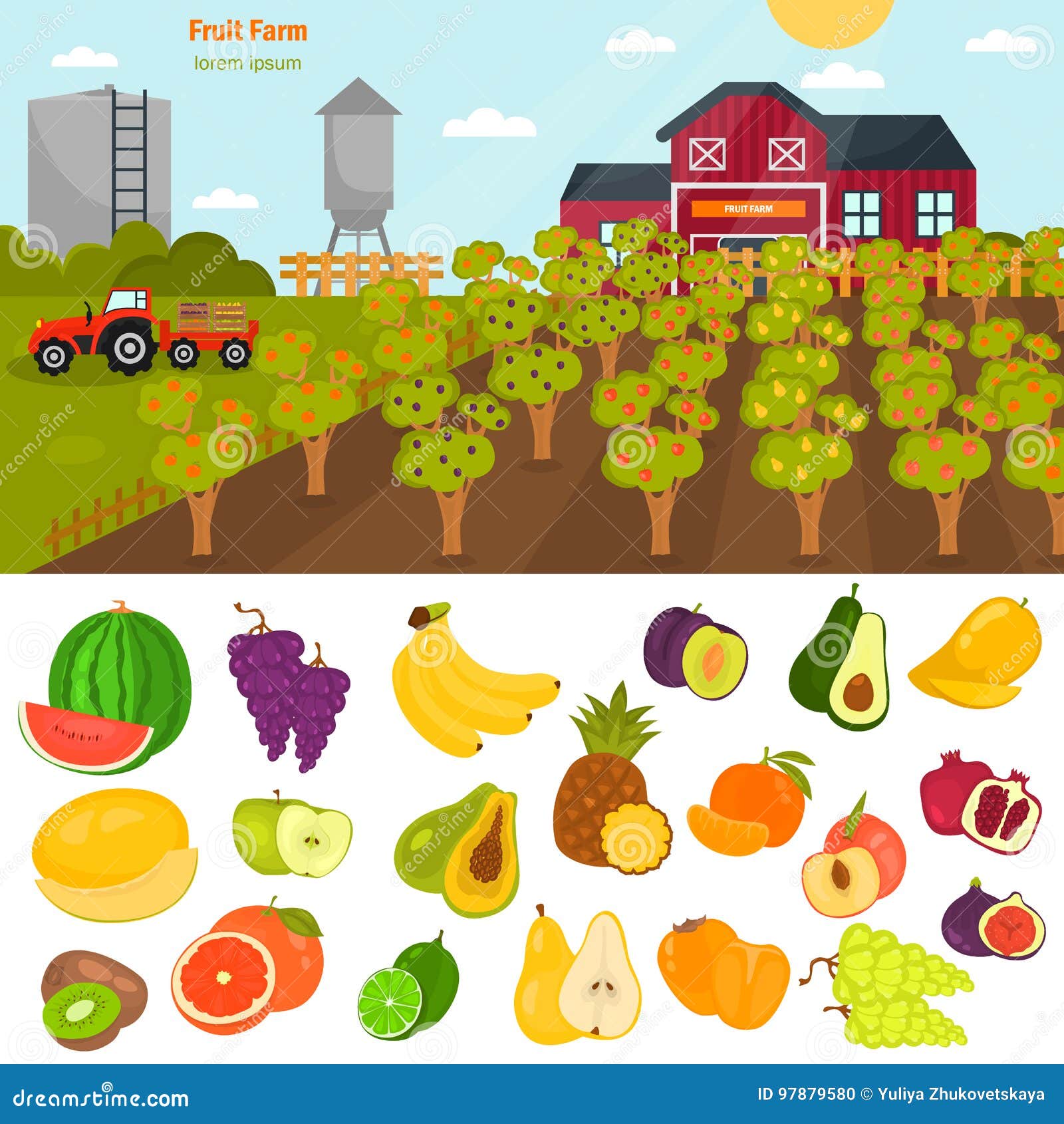 Fruits Color Flat Icons Set. Fruit Farm Illustration for  and Mobile