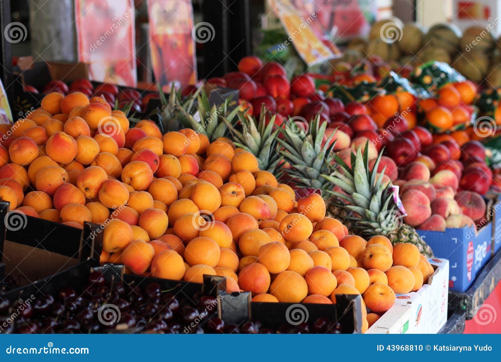 Composition with fresh beautiful fruits