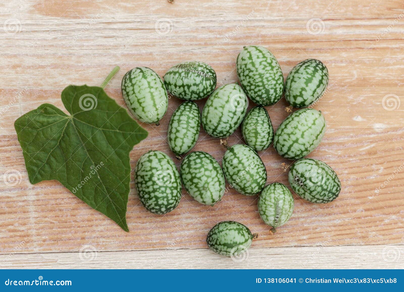Fruits D'un Cornichon Aigre Mexicain, Scabra De Melothria Image stock