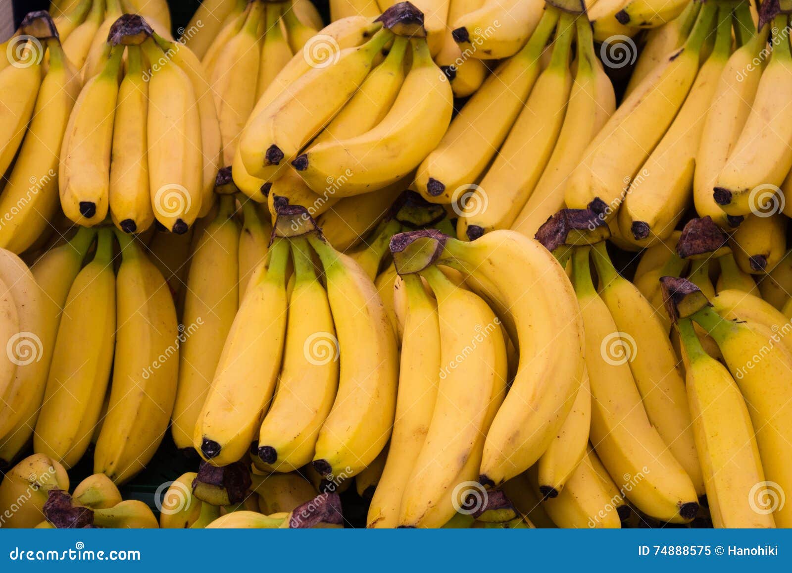 Fruits de banane - fond de nourriture