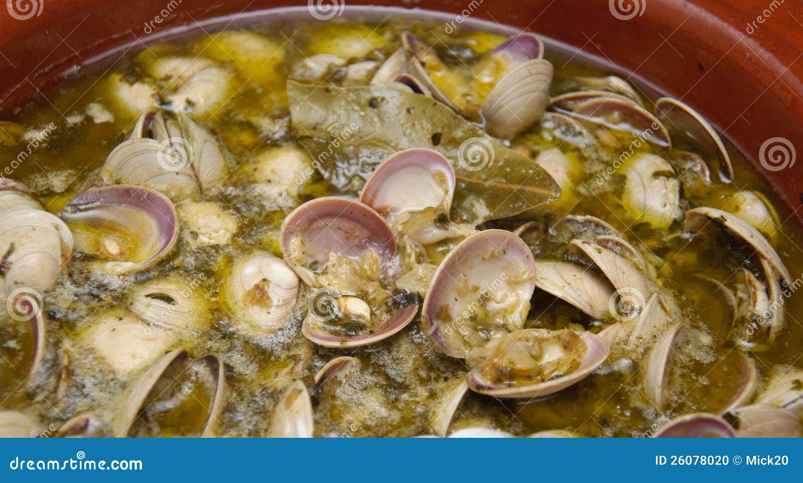 Fruits De Mer De Type De Palourde Photo stock - Image du échantillon