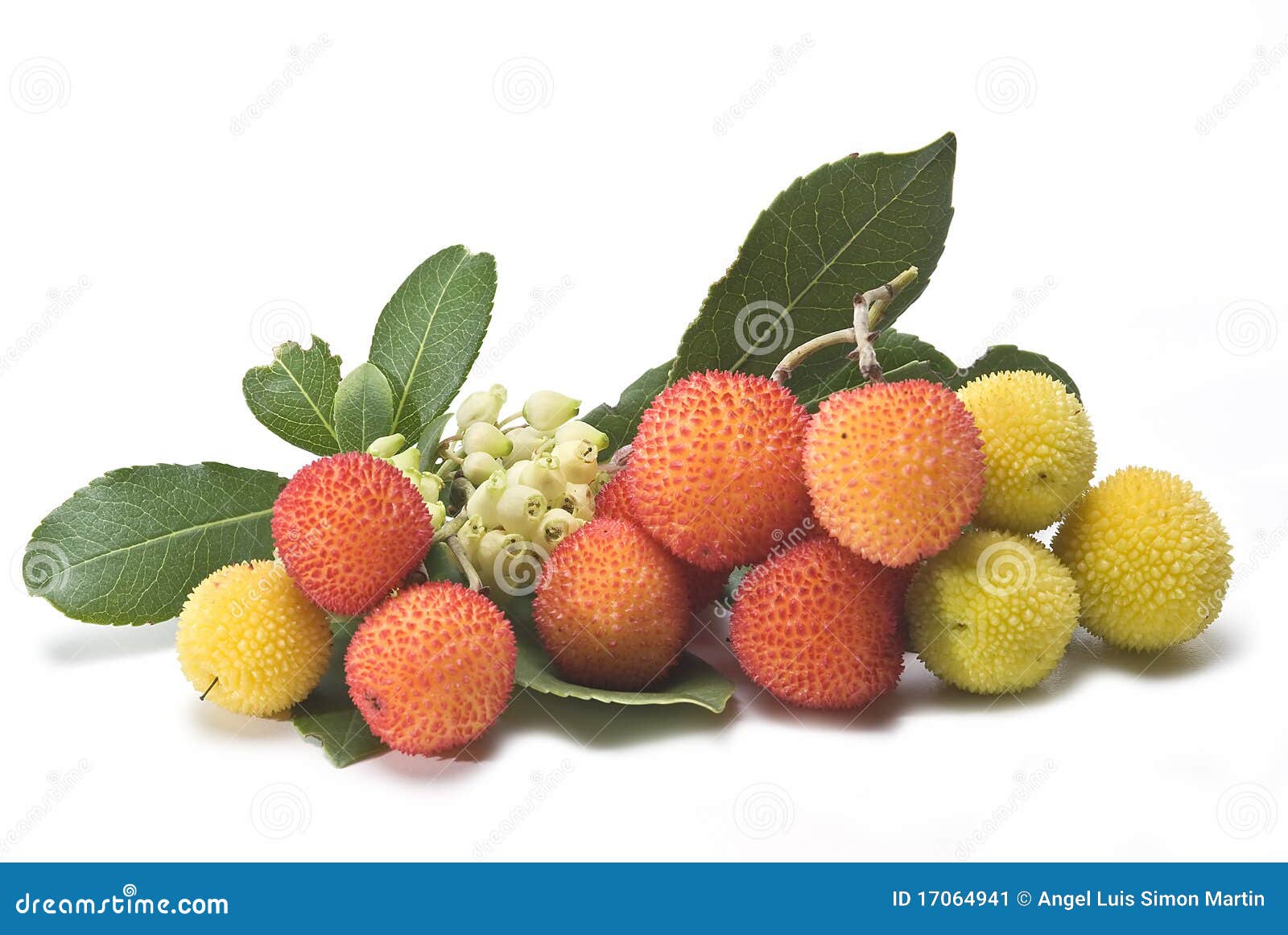 Fruits with Flowers and Leaves. Stock Image Image of fruits, beads