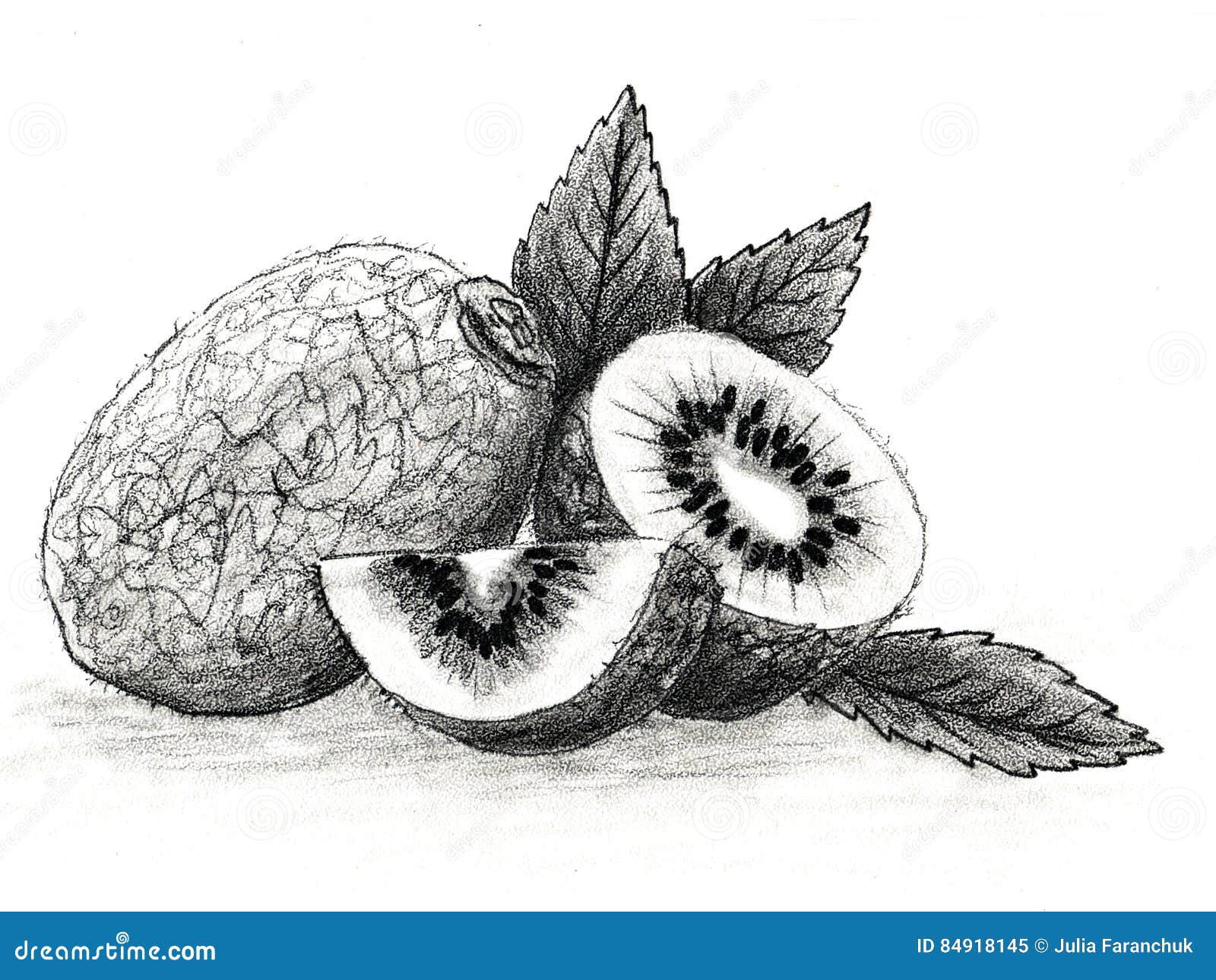 Kiwi bird in bow tie. engraving vector illustration. sketch scratch board  imitation. | CanStock