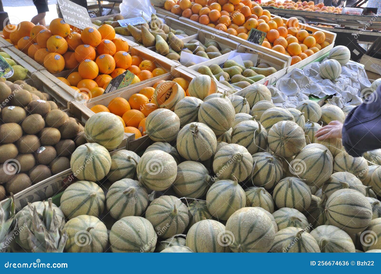 Fruits in a Market in France Stock Photo Image of traditional