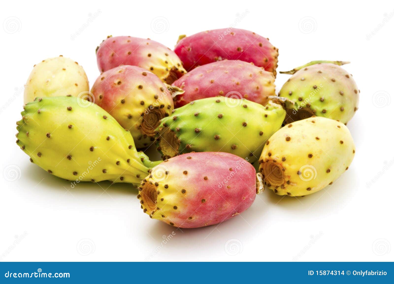 Fruits of Opuntia Ficusindica Stock Photo Image of studio, shot