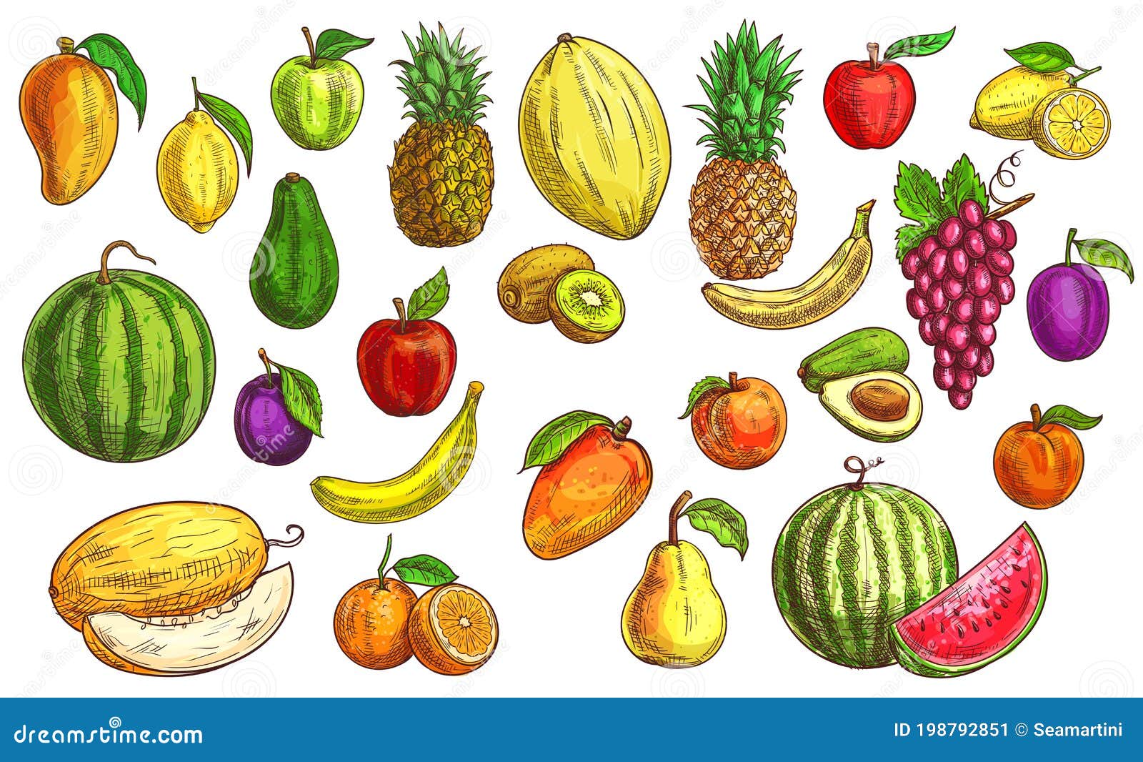 Premium Vector | Fruits hand drawn with line art set