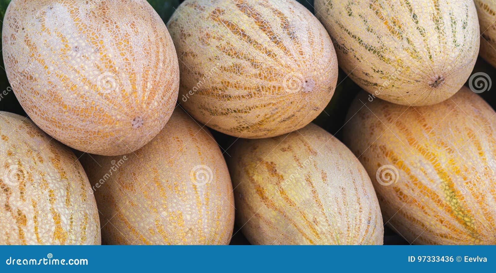 Fruits in a Supermarket Melon. Stock Photo Image of organic, melon