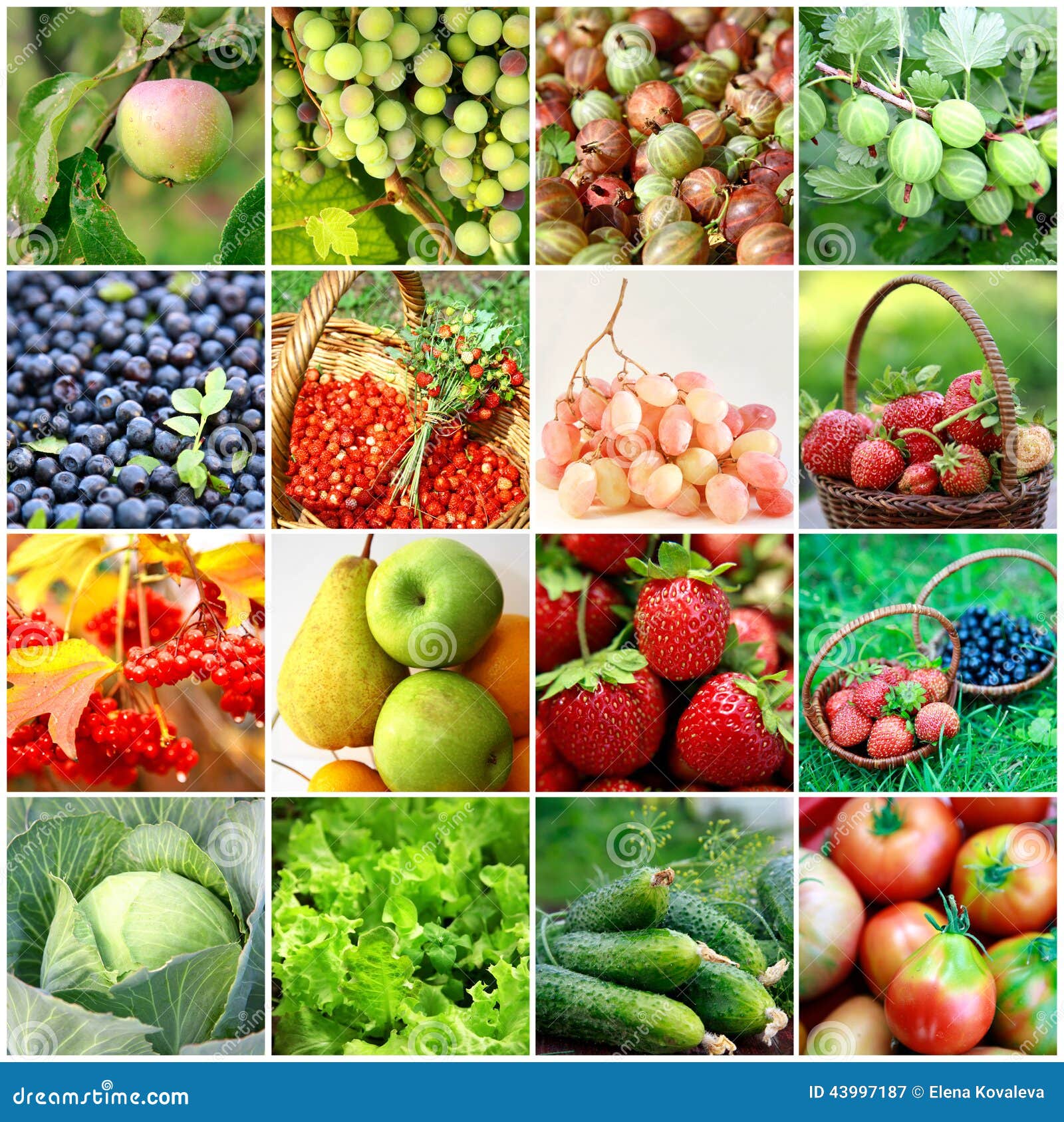 Fruits, Vegetables, Berries Stock Image Image of gooseberry, blueberries 43997187