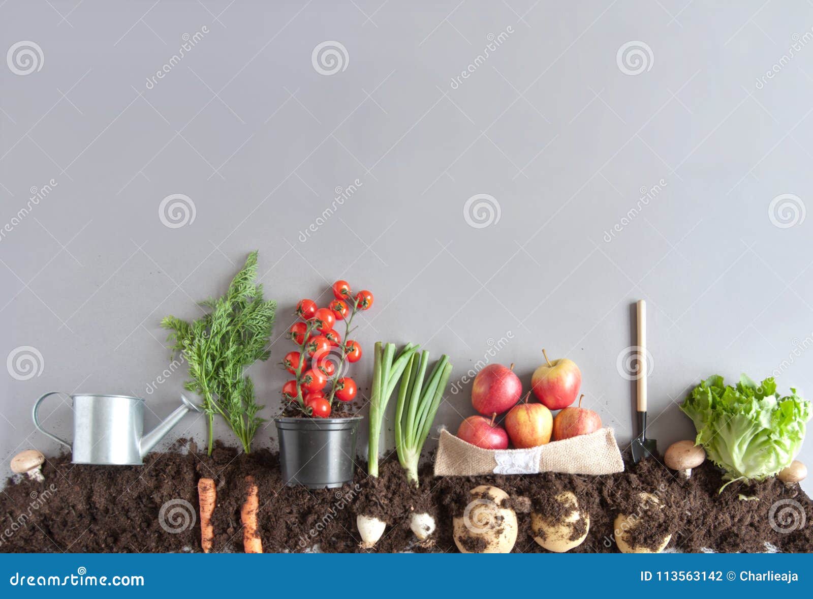 Organic Fruit And Vegetable Garden Stock Photo Image Of