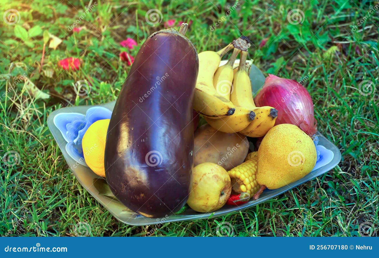 Fruits and Vegetables Platter on a Grass . Healthy Diet Alternative