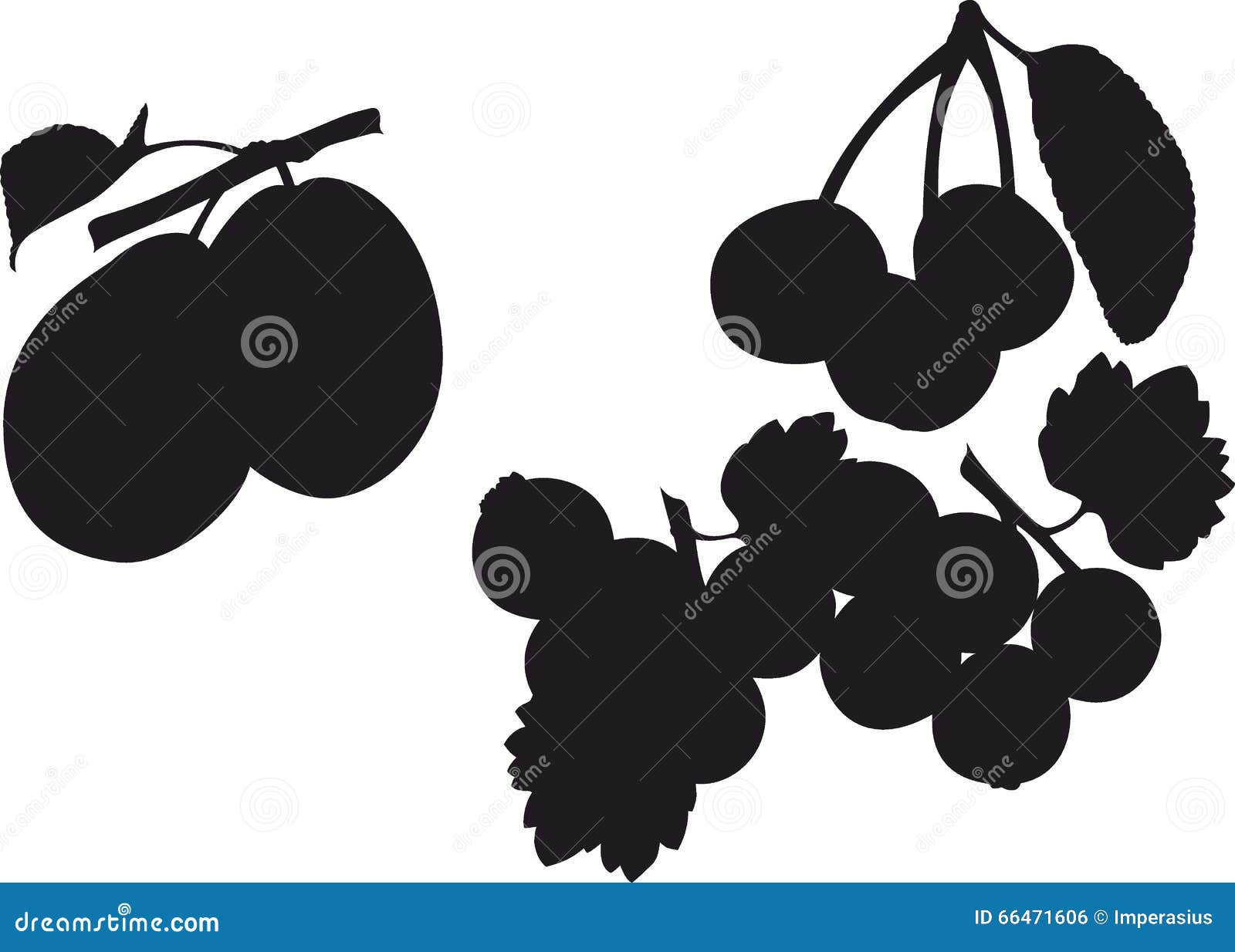 Fruits on white background stock vector. Illustration of background