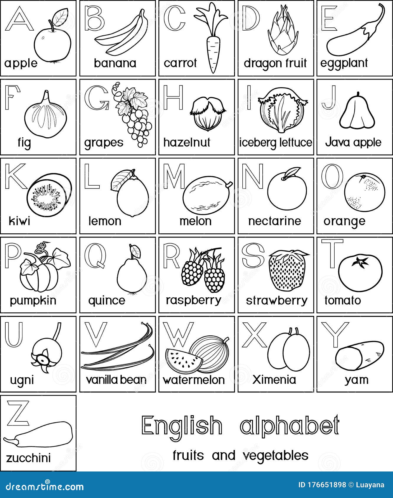 Coloring Page. English Alphabet with Fruits and Vegetables Stock Vector