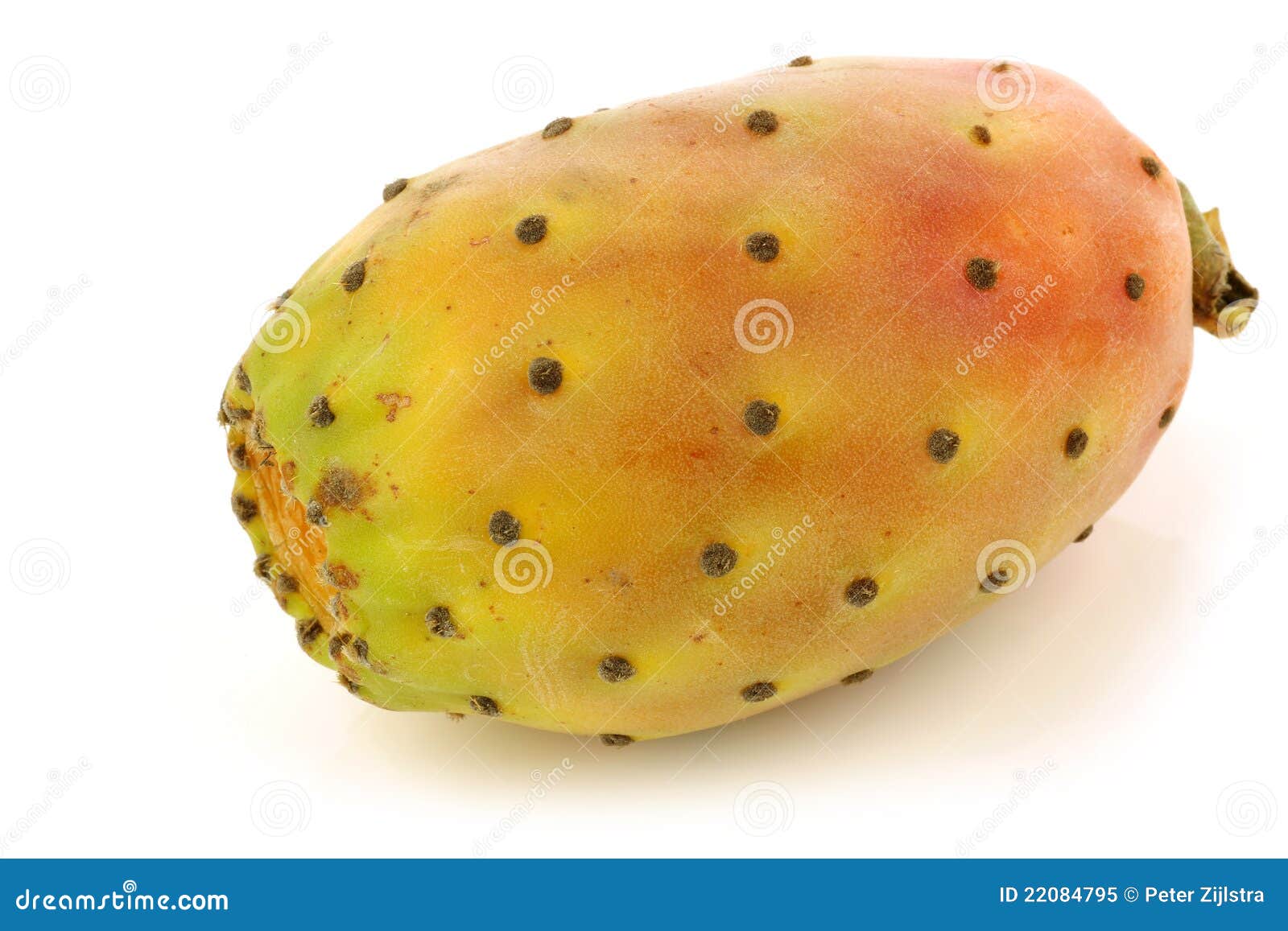 Fruta Colorida Fresca Do Cacto Imagem de Stock Imagem de tropical, alimento 22084795