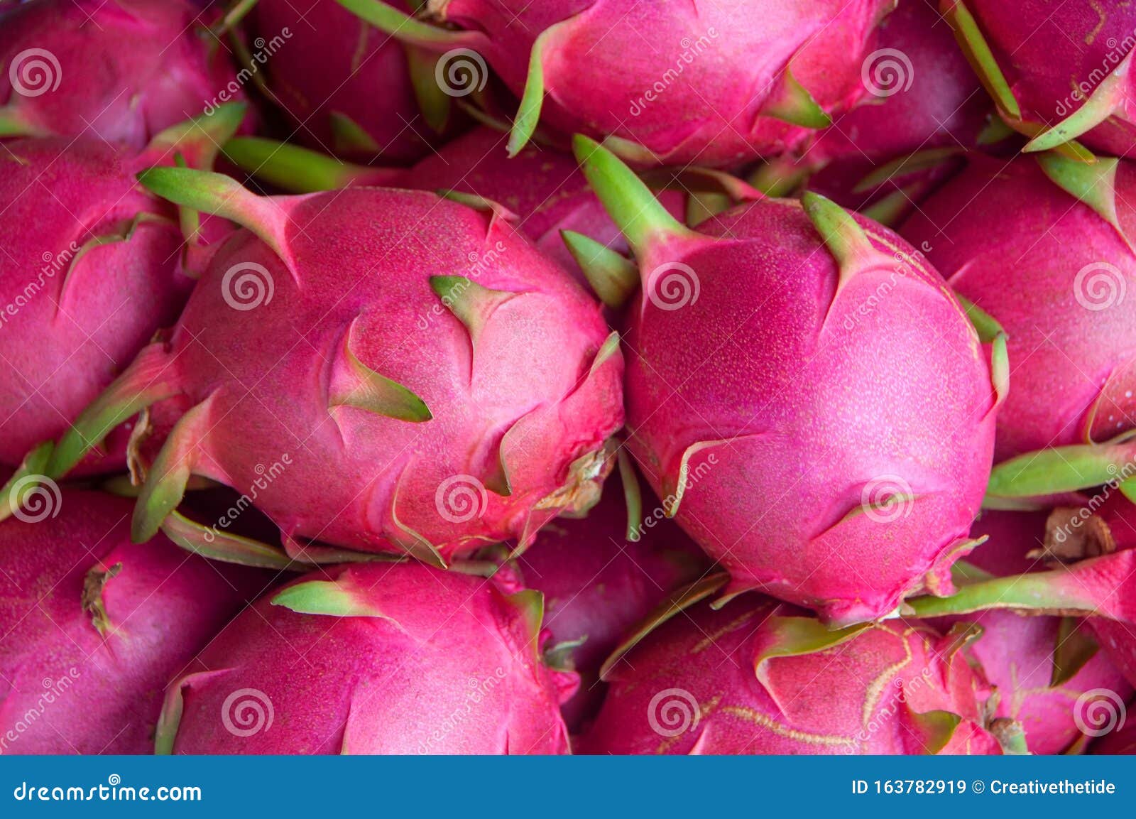 Fruta De Dragón Rosa O Fondo De Pitaya Imagen de archivo - Imagen de  extracto, modelo: 163782919