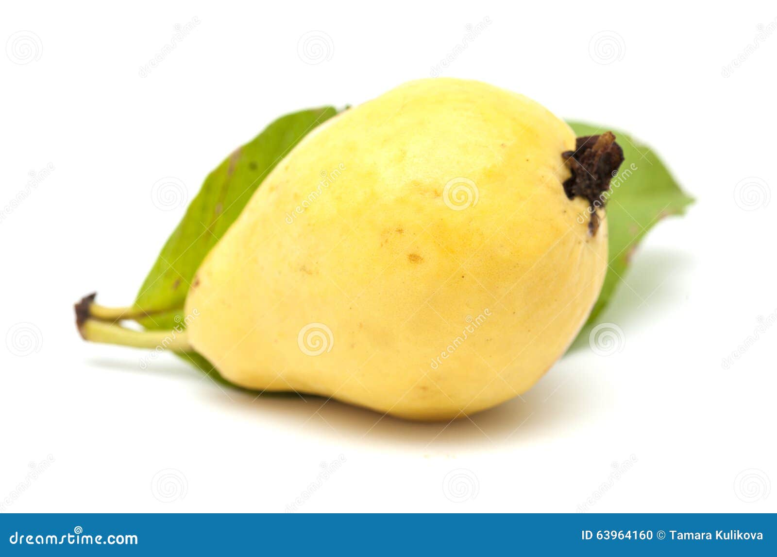 Fruta de guayaba amarilla foto de archivo. Imagen de ingrediente - 63964160 Fruta de guayaba amarilla foto de archivo. Imagen de ingrediente - 63964160