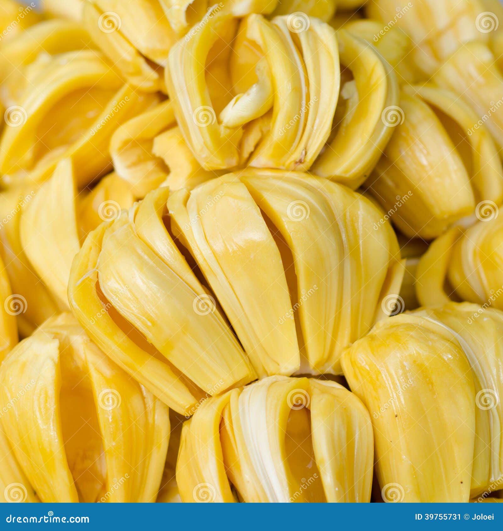 Fruta de Jack madura imagen de archivo. Imagen de sano 39755731