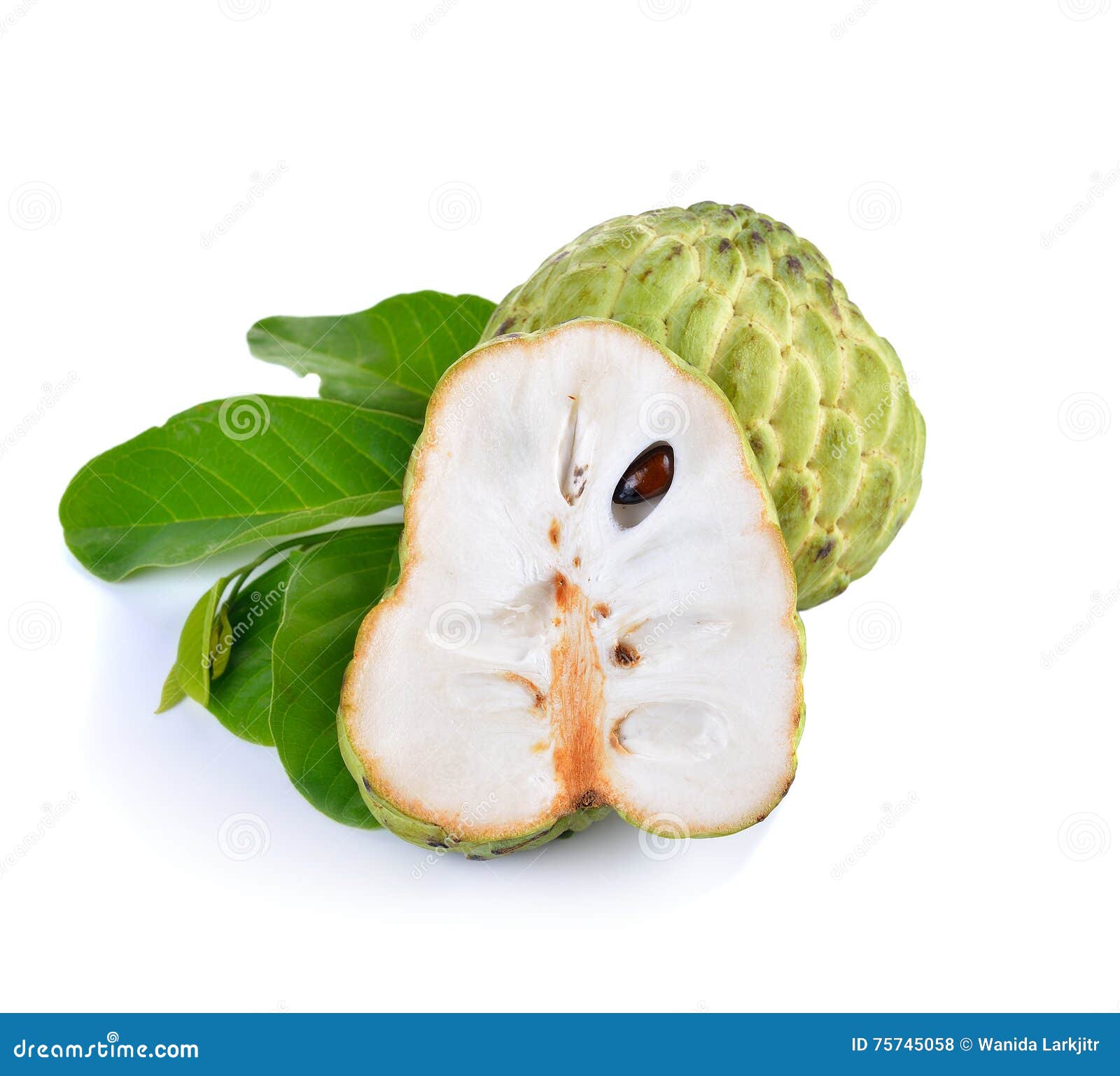 Fruta De Sugar Apple En El Fondo Blanco Foto de archivo Imagen de