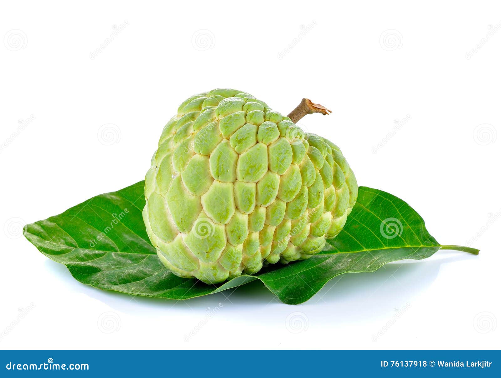 Fruta De Sugar Apple En El Fondo Blanco Foto de archivo Imagen de