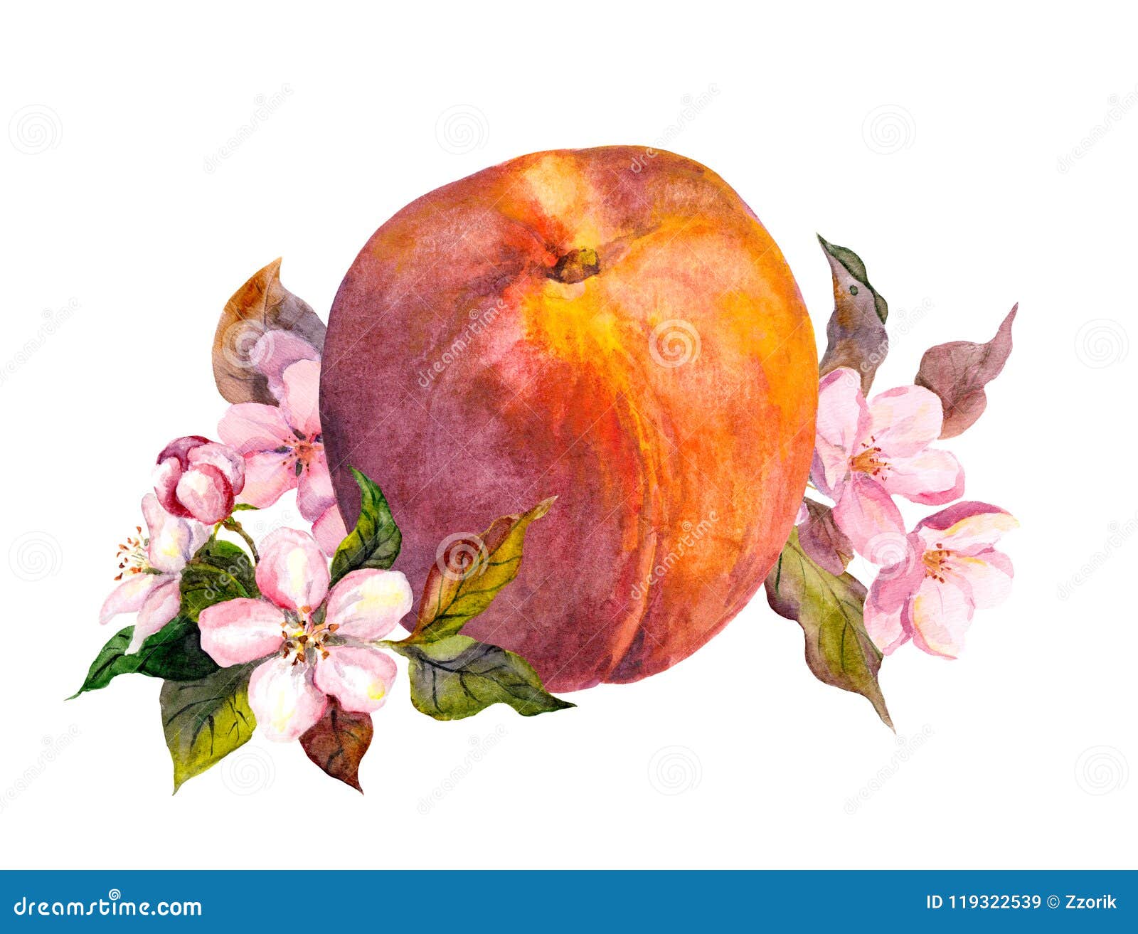 Fruta Del Melocotón, Flores Del Flor Watercolor Stock de ilustración -  Ilustración de color, pintado: 119322539