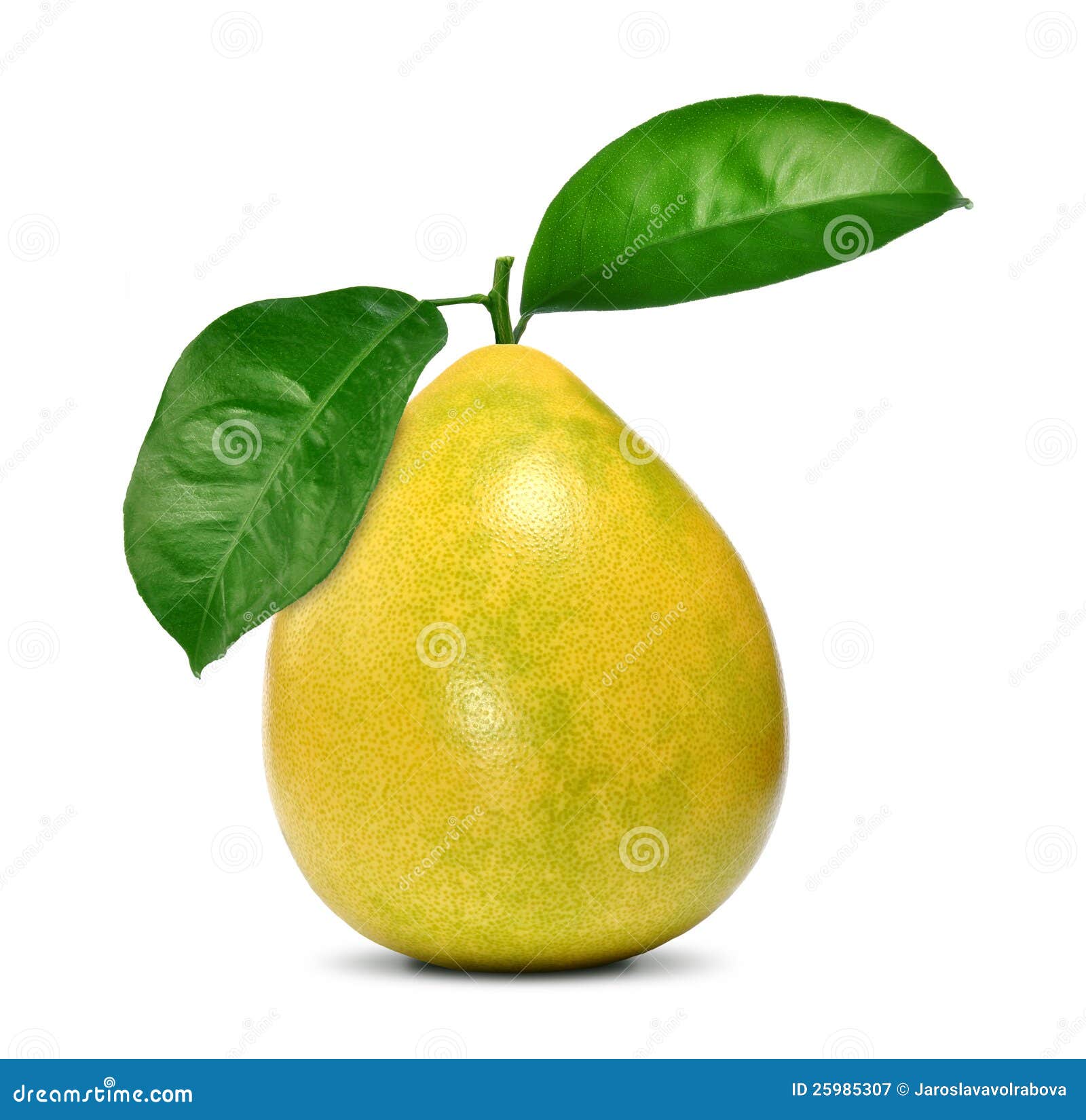 Fruta Del Pomelo Con Las Hojas Imagen de archivo Imagen de dulce, aislado 25985307