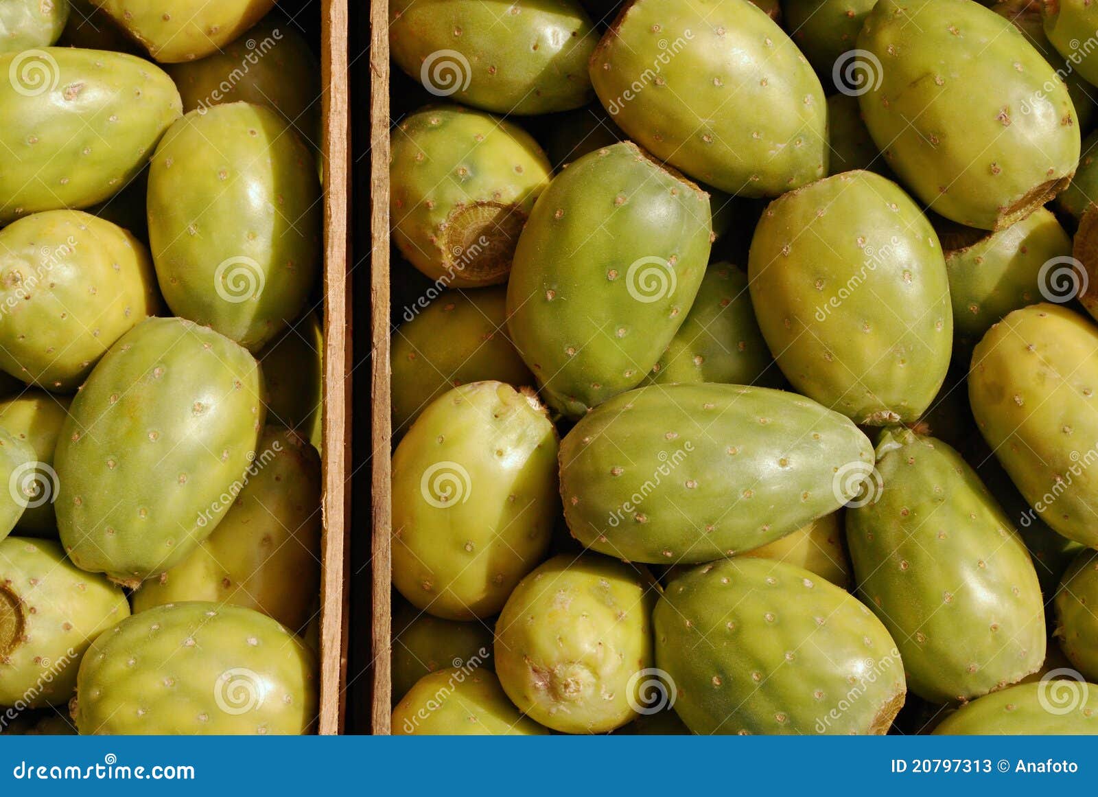 Fruta do cacto imagem de stock. Imagem de frutas, cacto 20797313