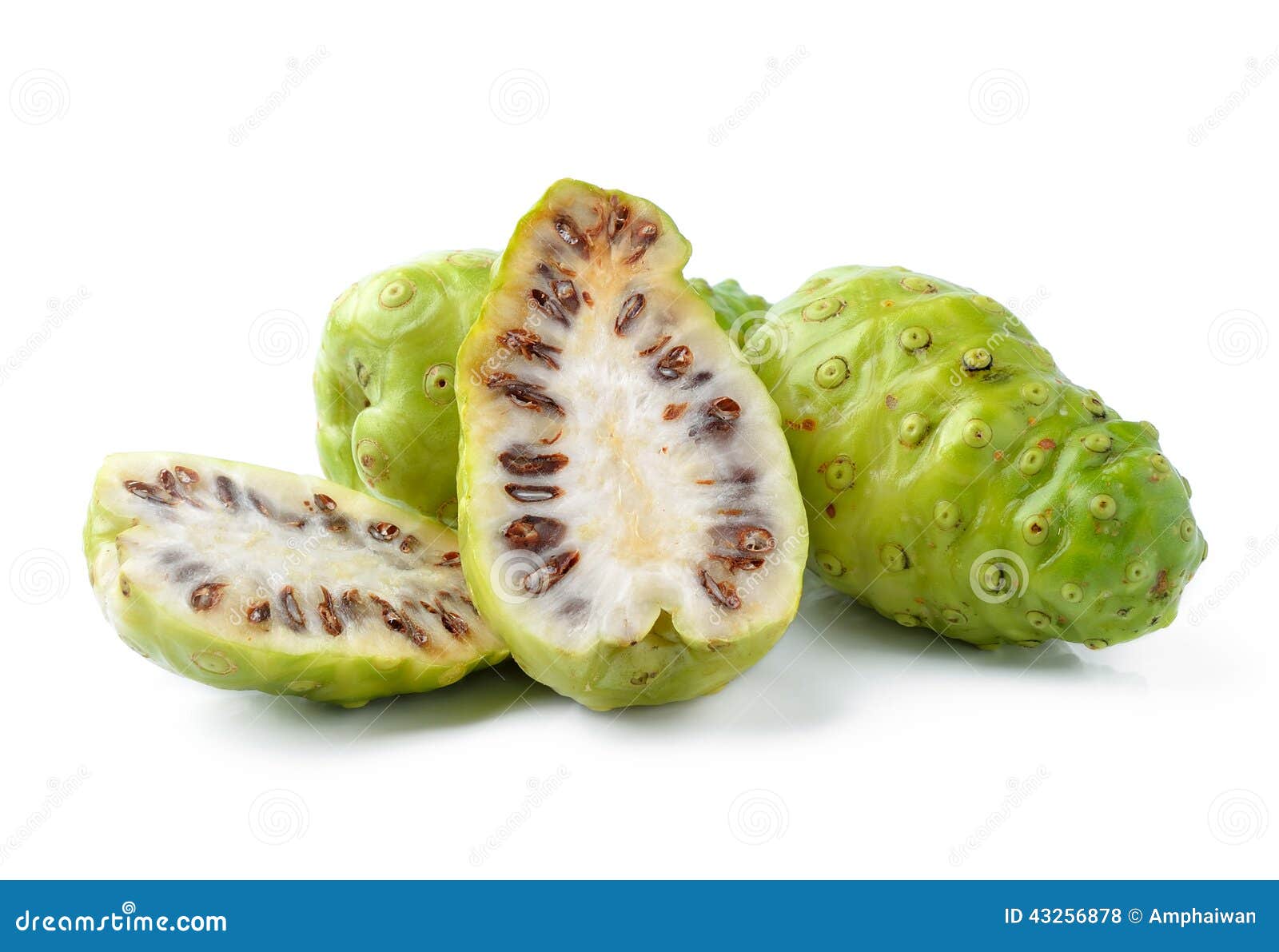 Fruta India De La Mora De Noni Foto de archivo - Imagen de aislado