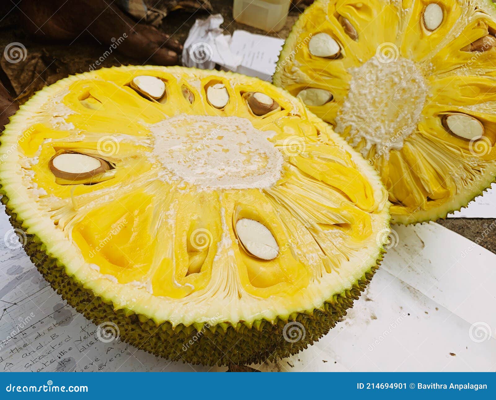 Fruta jack imagen de archivo. Imagen de frutas, crecimiento 214694901