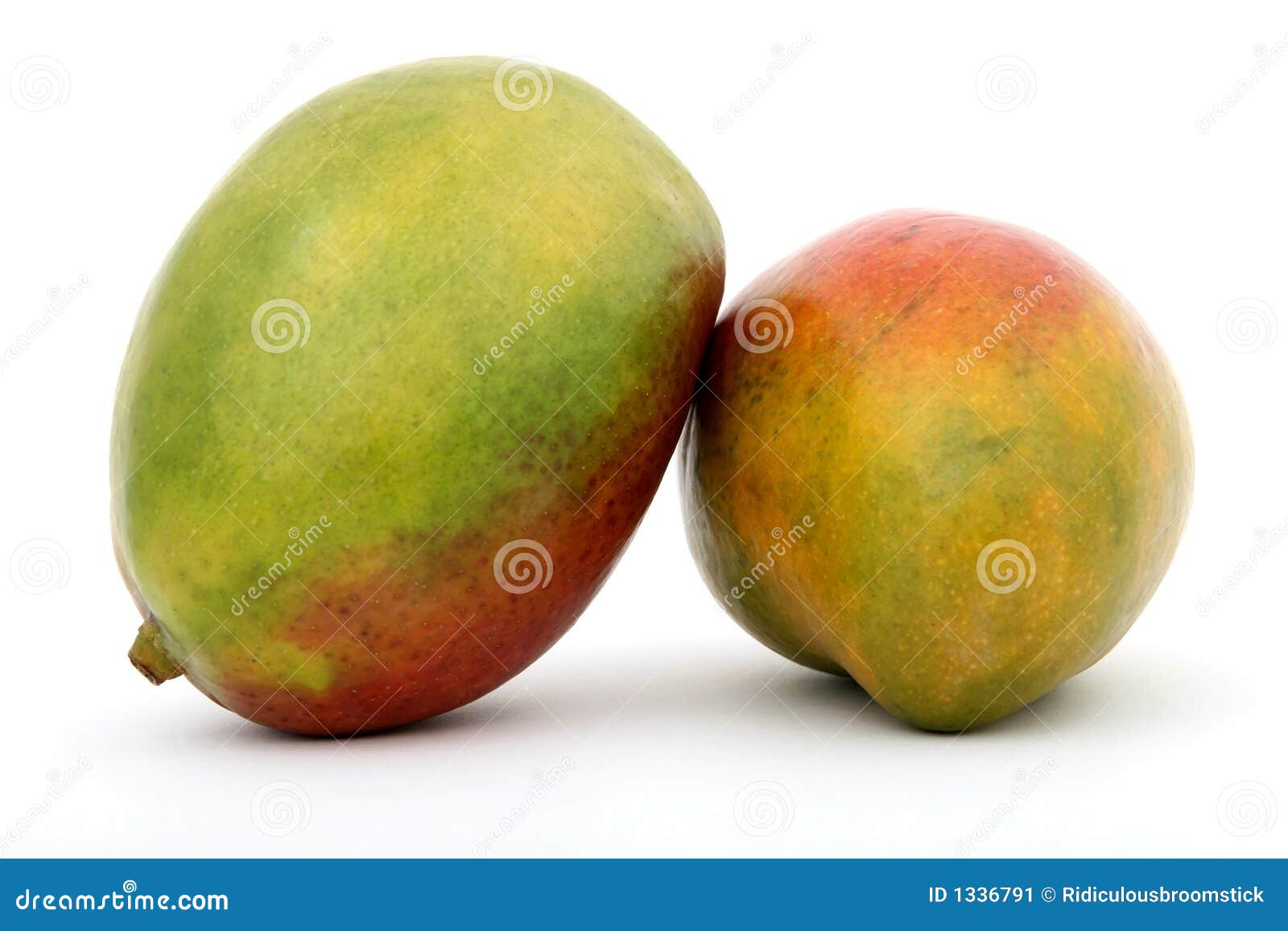 Fruta Tropical Verde Fresca Del Mango Imagen de archivo Imagen de