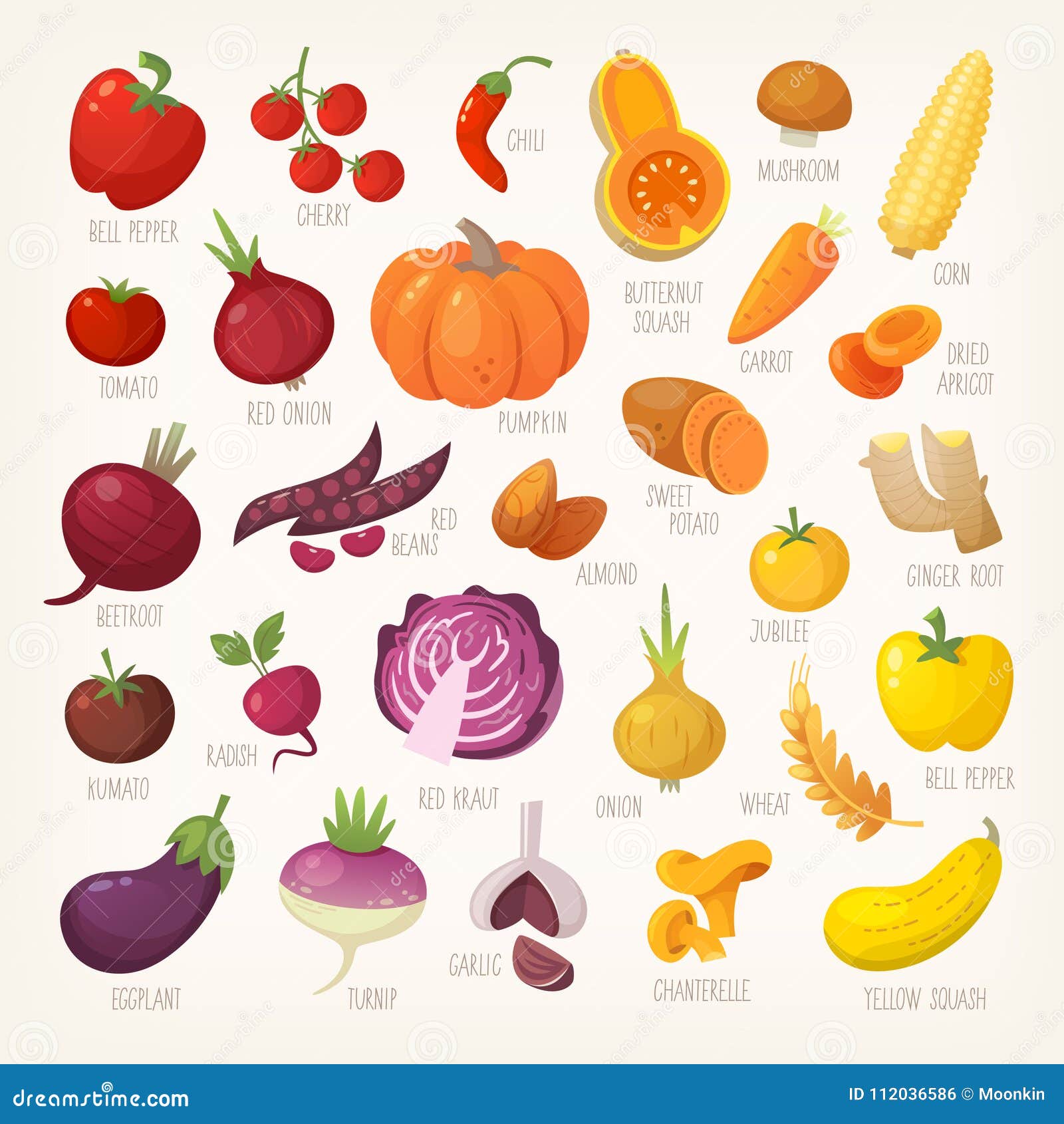Fruta Y Verdura Colorida Con Nombres Ilustración del Vector Ilustración de alimento, ordenado: 112036586