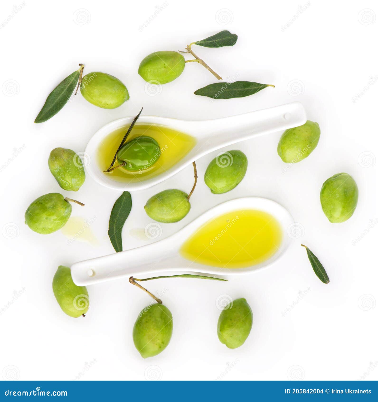 Fruto De Oliva Y Hojas De Oliva En Un Fondo Blanco Foto de archivo