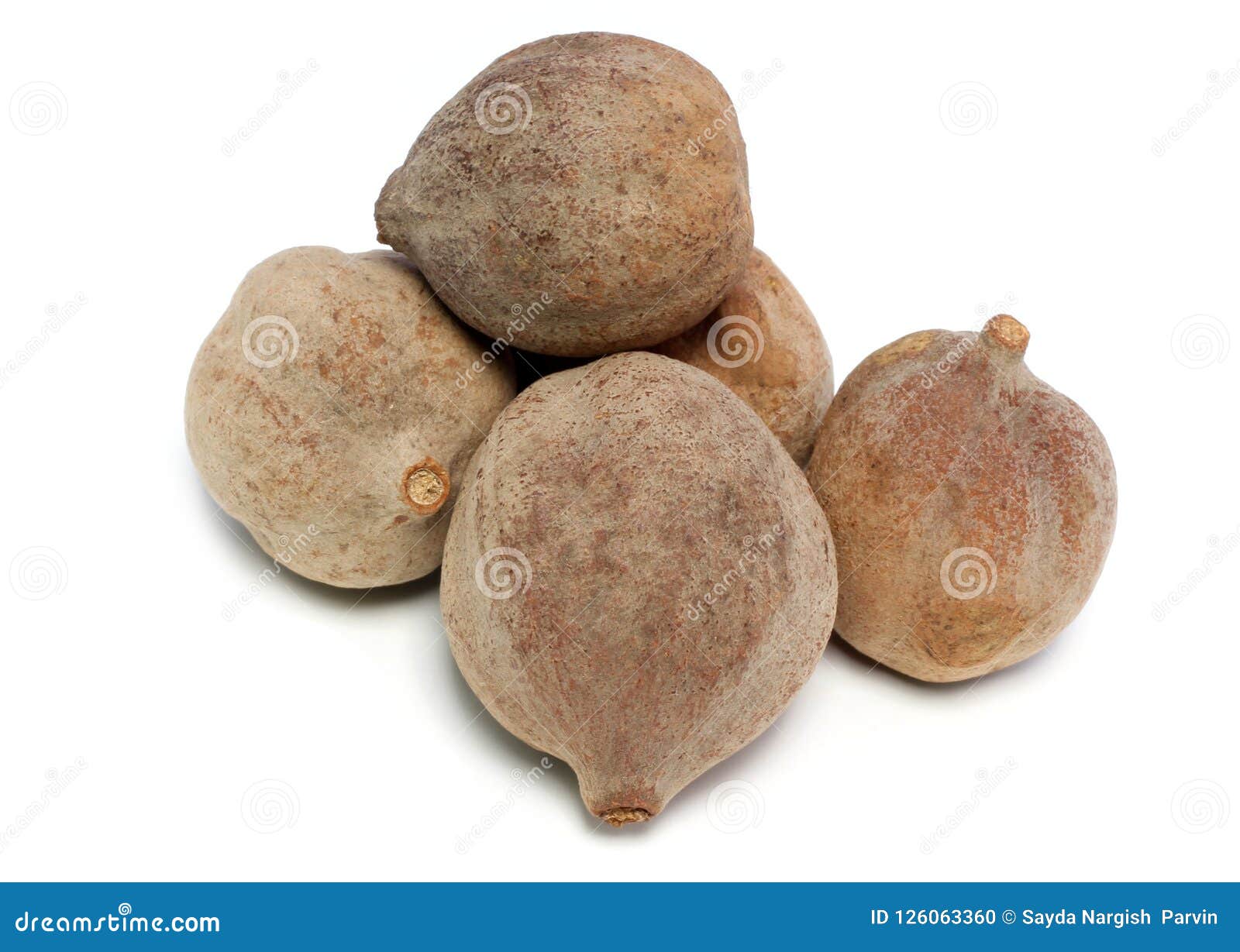 Frutas Medicinales De Bahera Aisladas De La India Foto de archivo