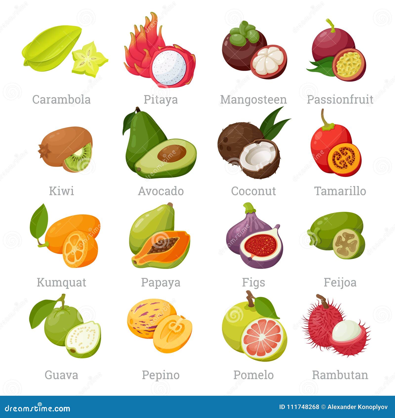 kas Scully donderdag Frutas Tropicales Exóticas Fijadas Con Nombres Ilustración del Vector -  Ilustración de travieso, rojo: 111748268