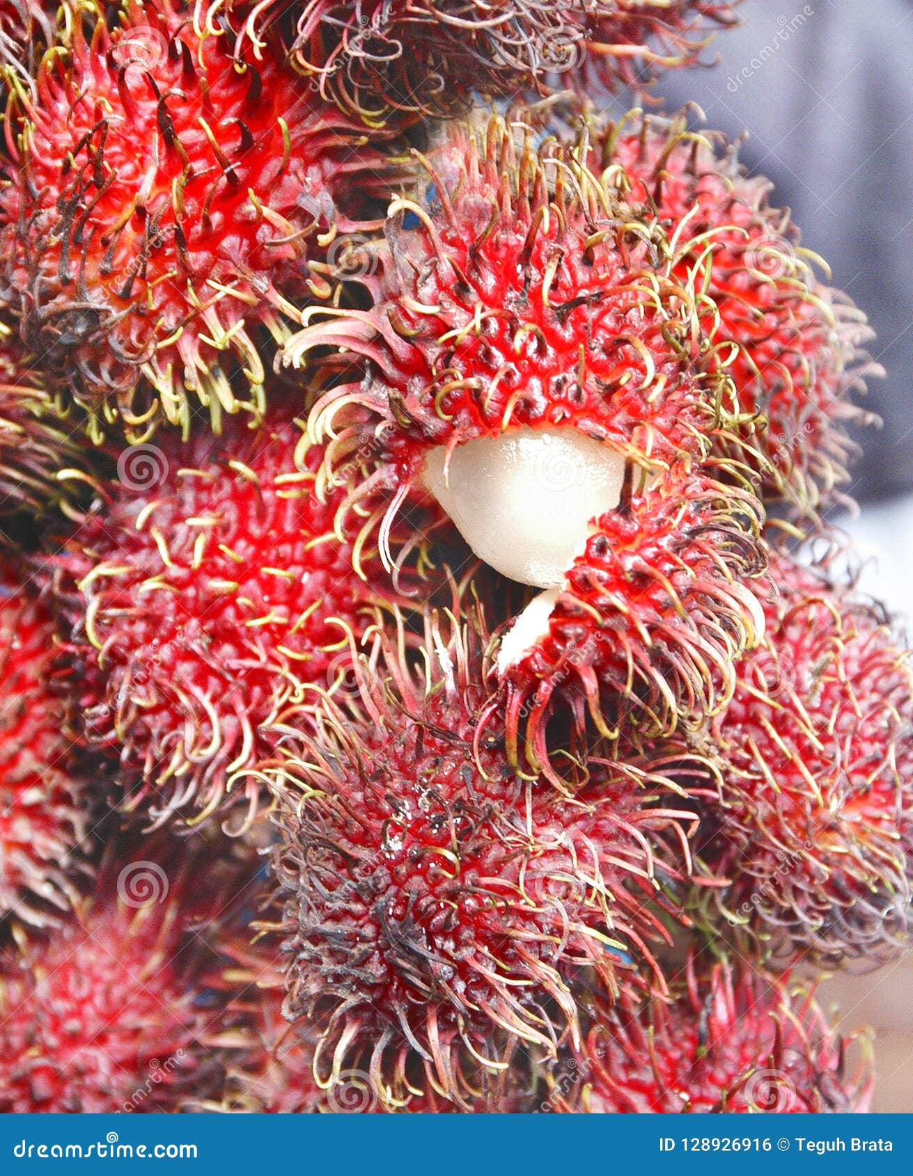 Fruta da indonésia Banco de fotos, imagens, tudo isento de