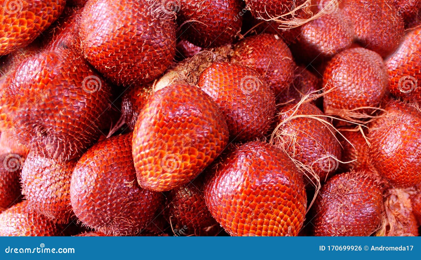 Uma Linda Fruta Fresca De Cobra PNG , Fruta, Frutas Vermelhas