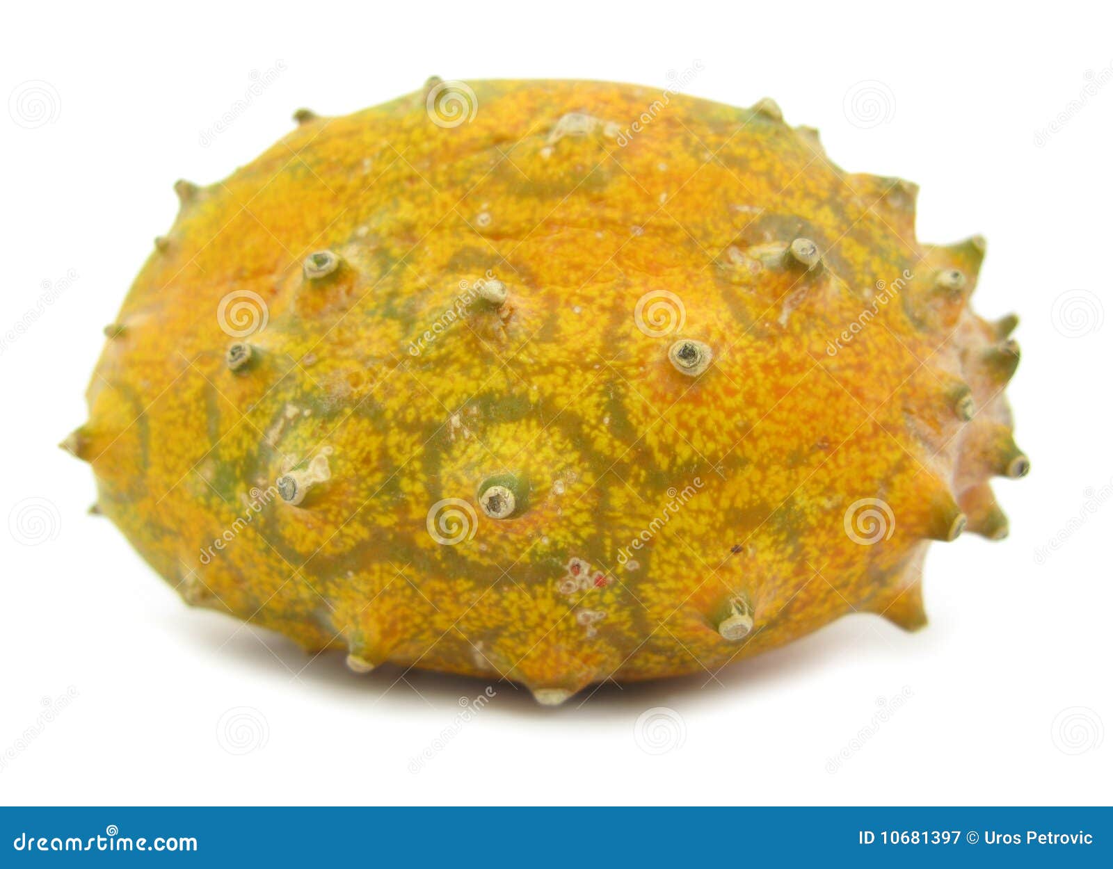 Kiwano Cucumis Metuliferus Horn Cucumber – 10 Seeds – Exotic - Foto 11