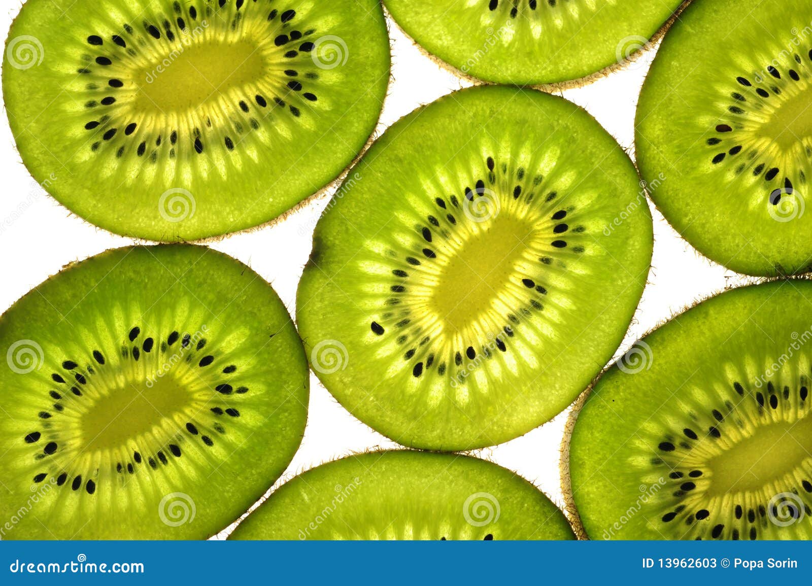 Frutta di Kiwi sopra una priorità bassa bianca