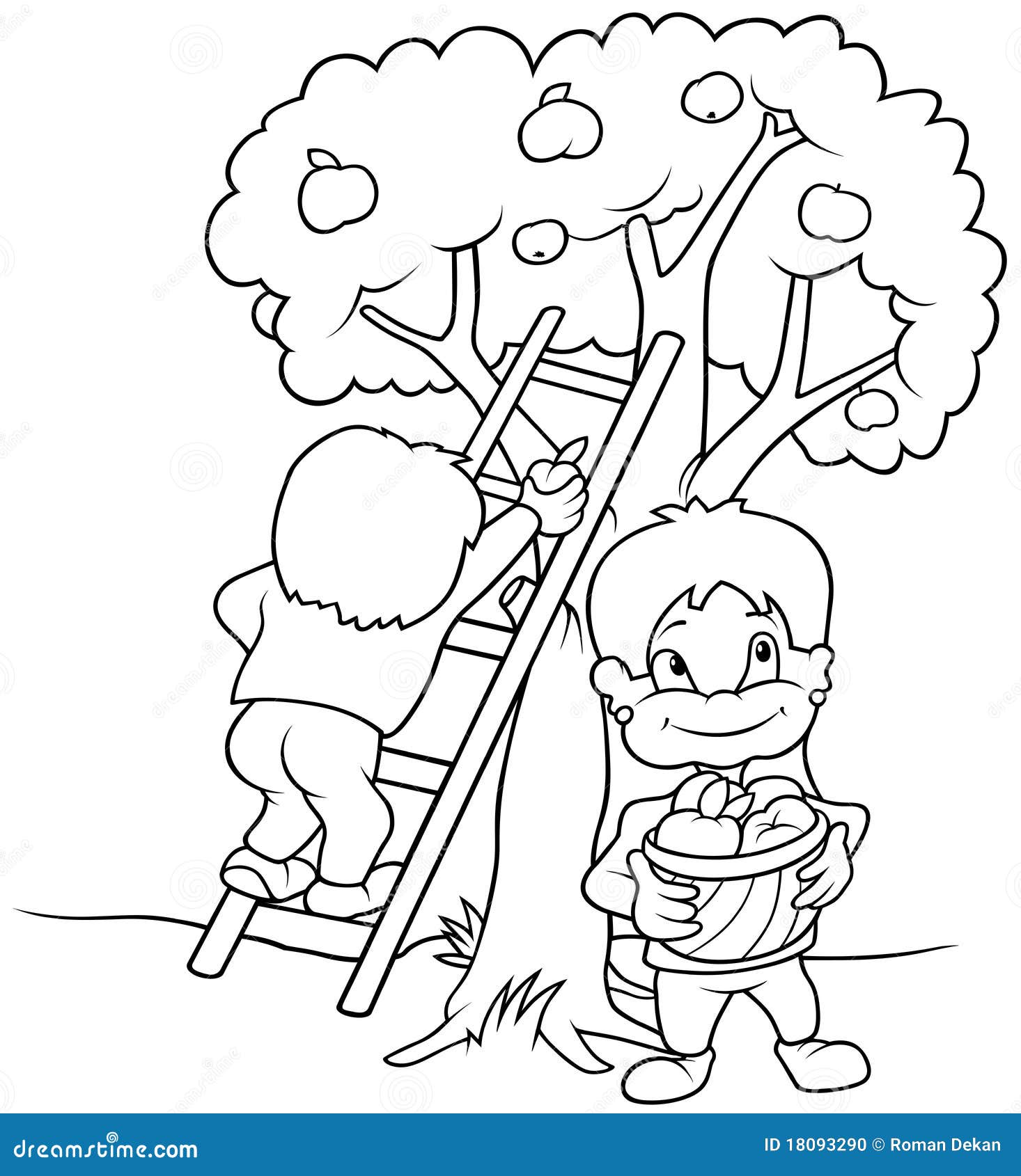 Frutta di raccolta dei bambini Libera da Diritti