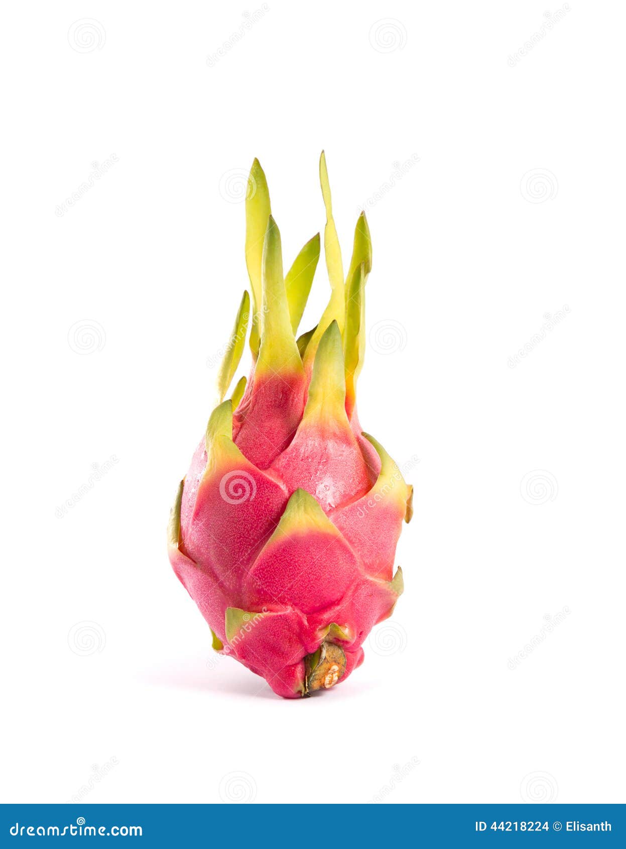 Spicy Peppers Mix Frutti Commestibili Verdure Esotiche Misto Di - Foto 4