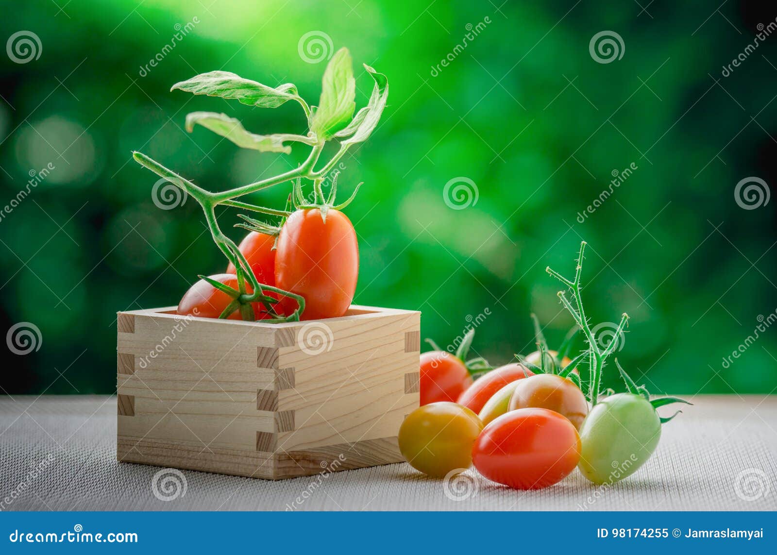 Frutta sana con i pomodori dolci rossi freschi in un bosso Cherry Tomato Seeds