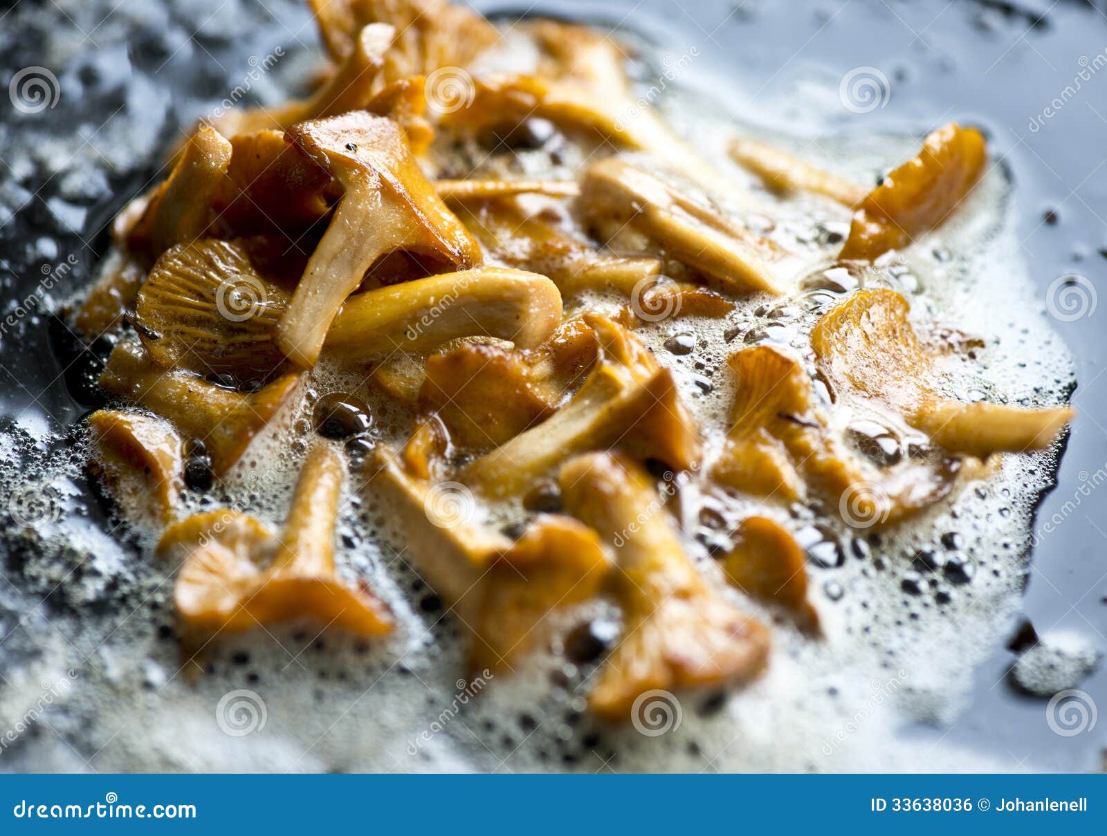 Frying fresh chanterelles stock photo. Image of taste 33638036