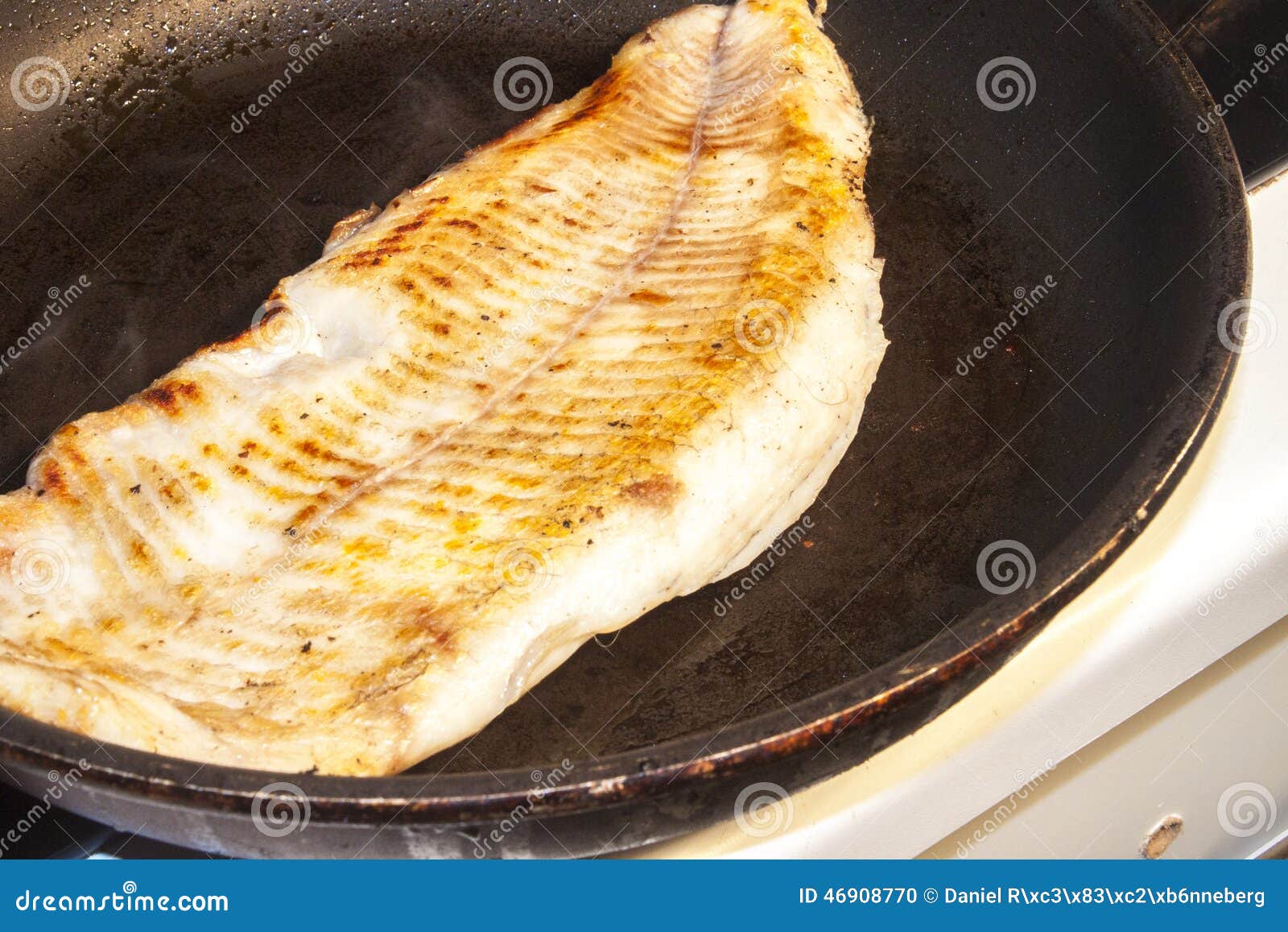 Frying zander fish stock photo. Image of delicious, gourmet 46908770