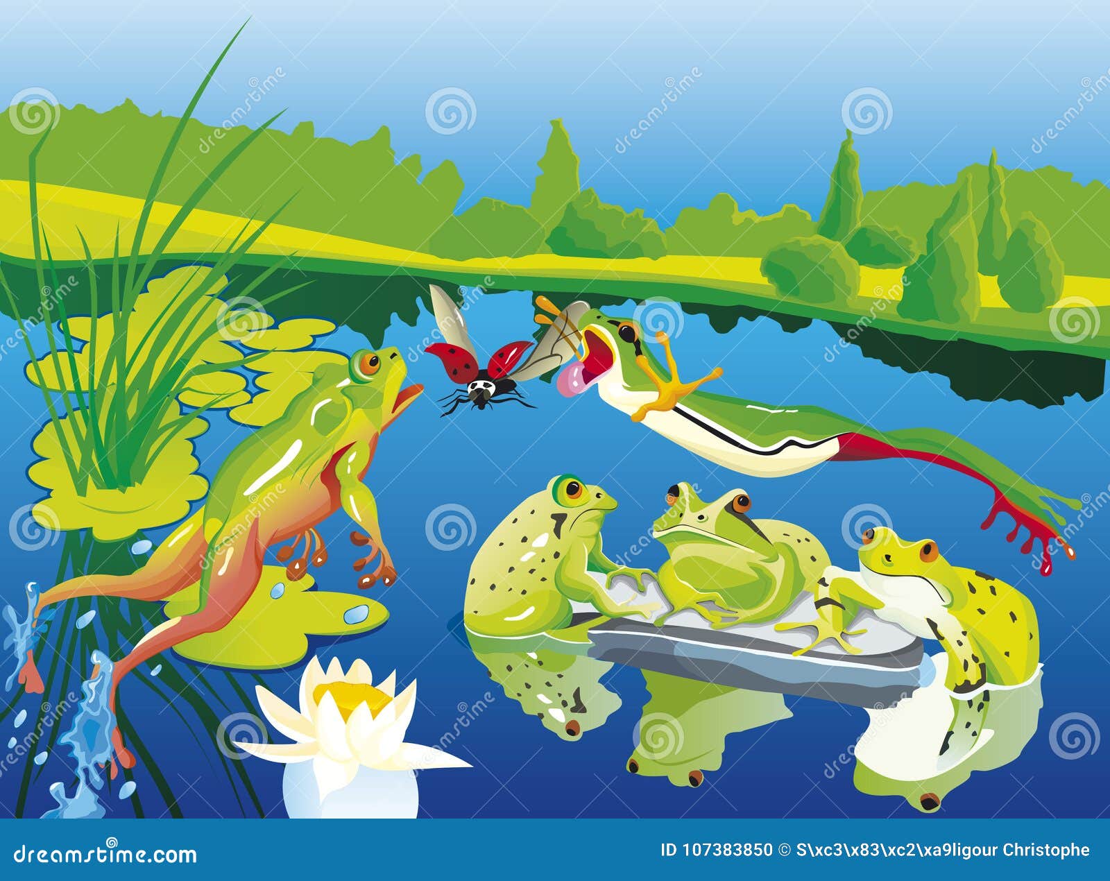 Frösche, Die Auf Ihrem Teich Mit Kröte Jagen Vektor Abbildung