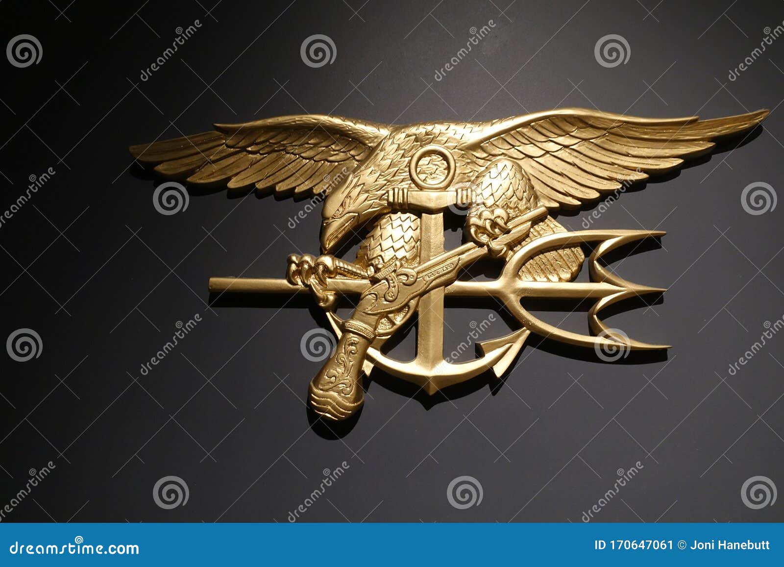 navy seal trident wallpaper