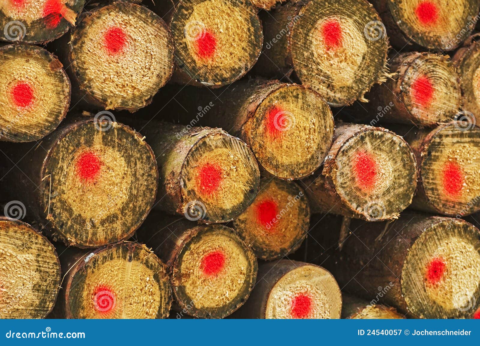 Fuelwood stock image. Image of fuel, energy, material 24540057