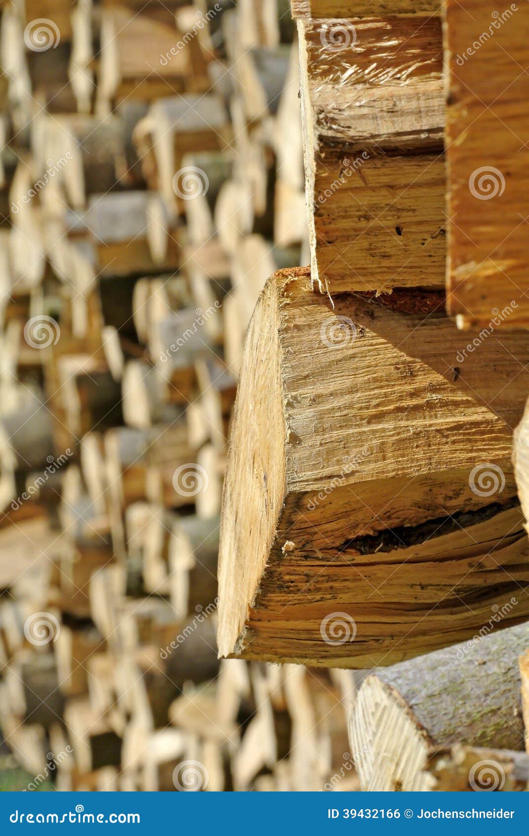 Fuelwood stock photo. Image of source, tree, fuelwood 39432166